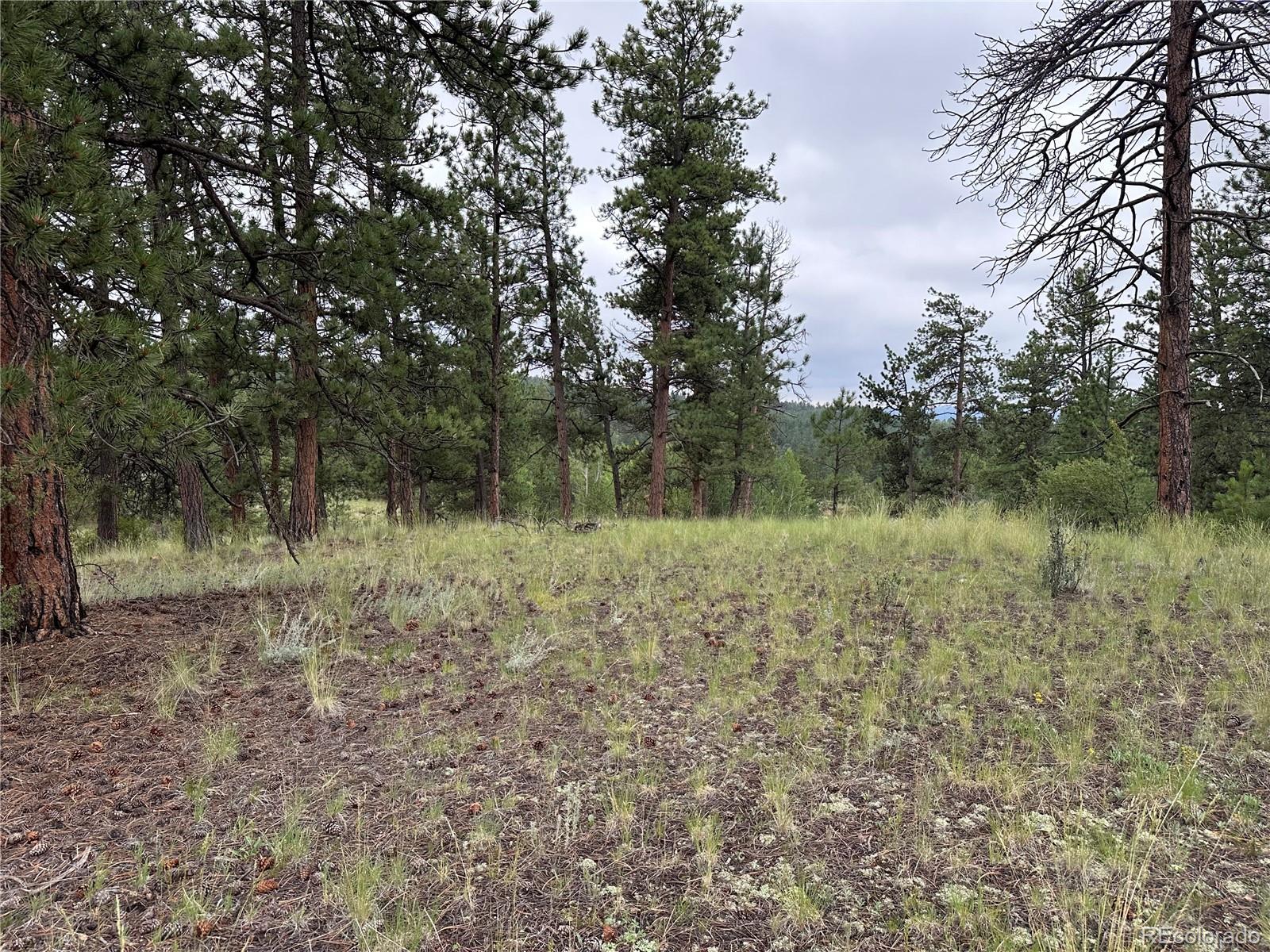 30 Shavano Way, Florissant, CO 80816, ,Land,For Sale,Shavano,REC7223345