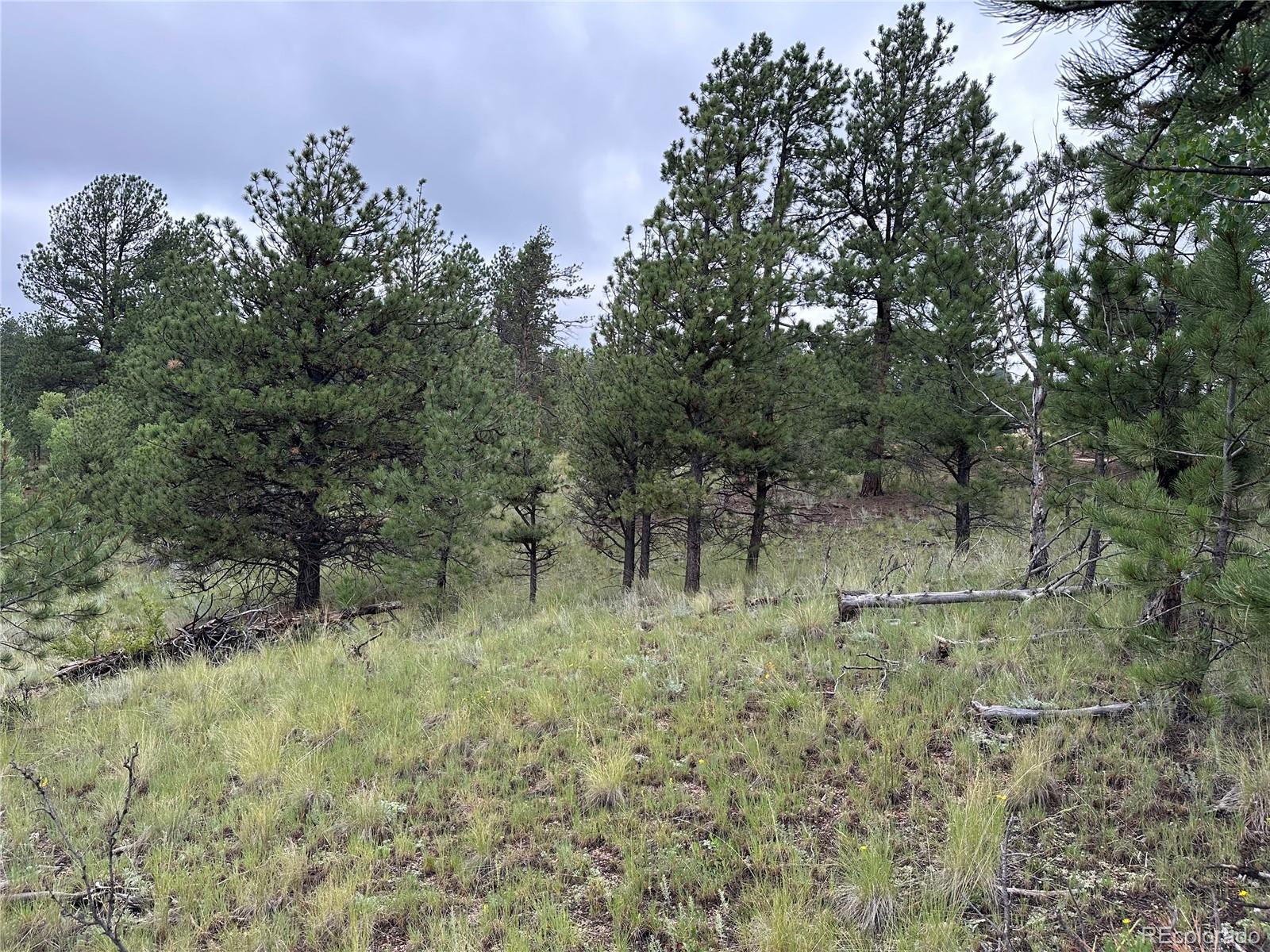 30 Shavano Way, Florissant, CO 80816, ,Land,For Sale,Shavano,REC7223345