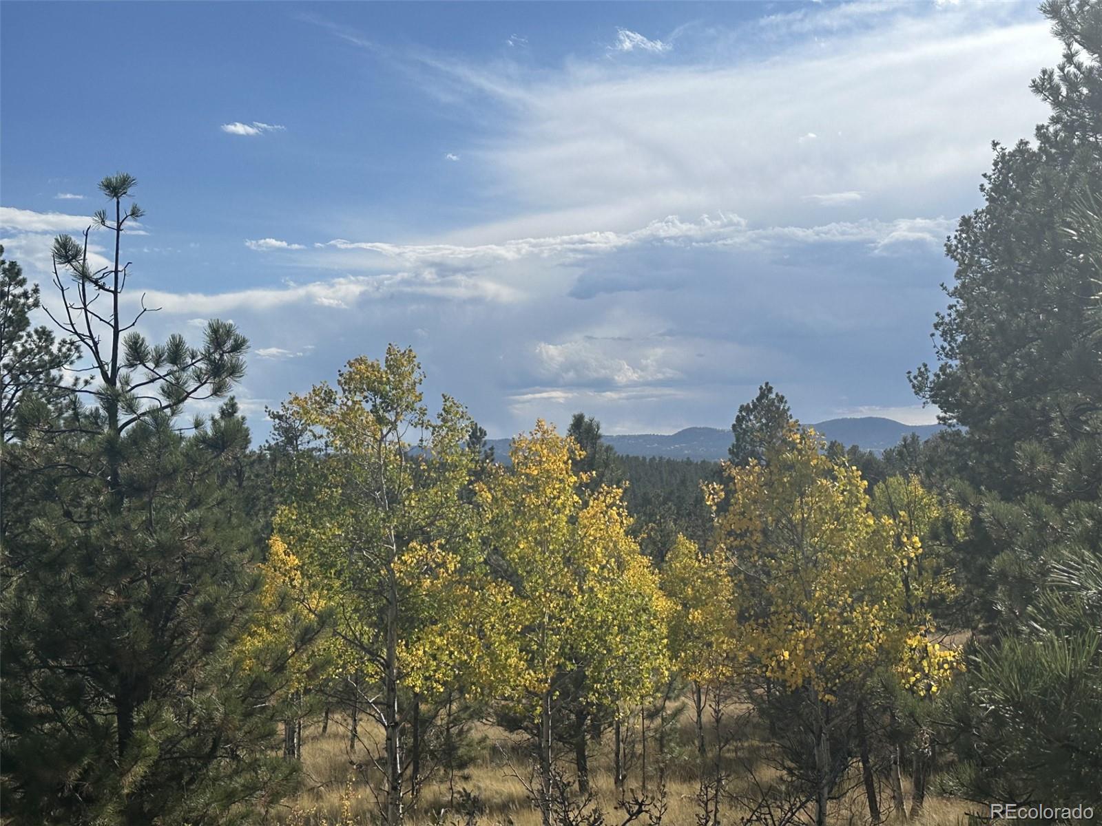 30 Shavano Way, Florissant, CO 80816, ,Land,For Sale,Shavano,REC7223345