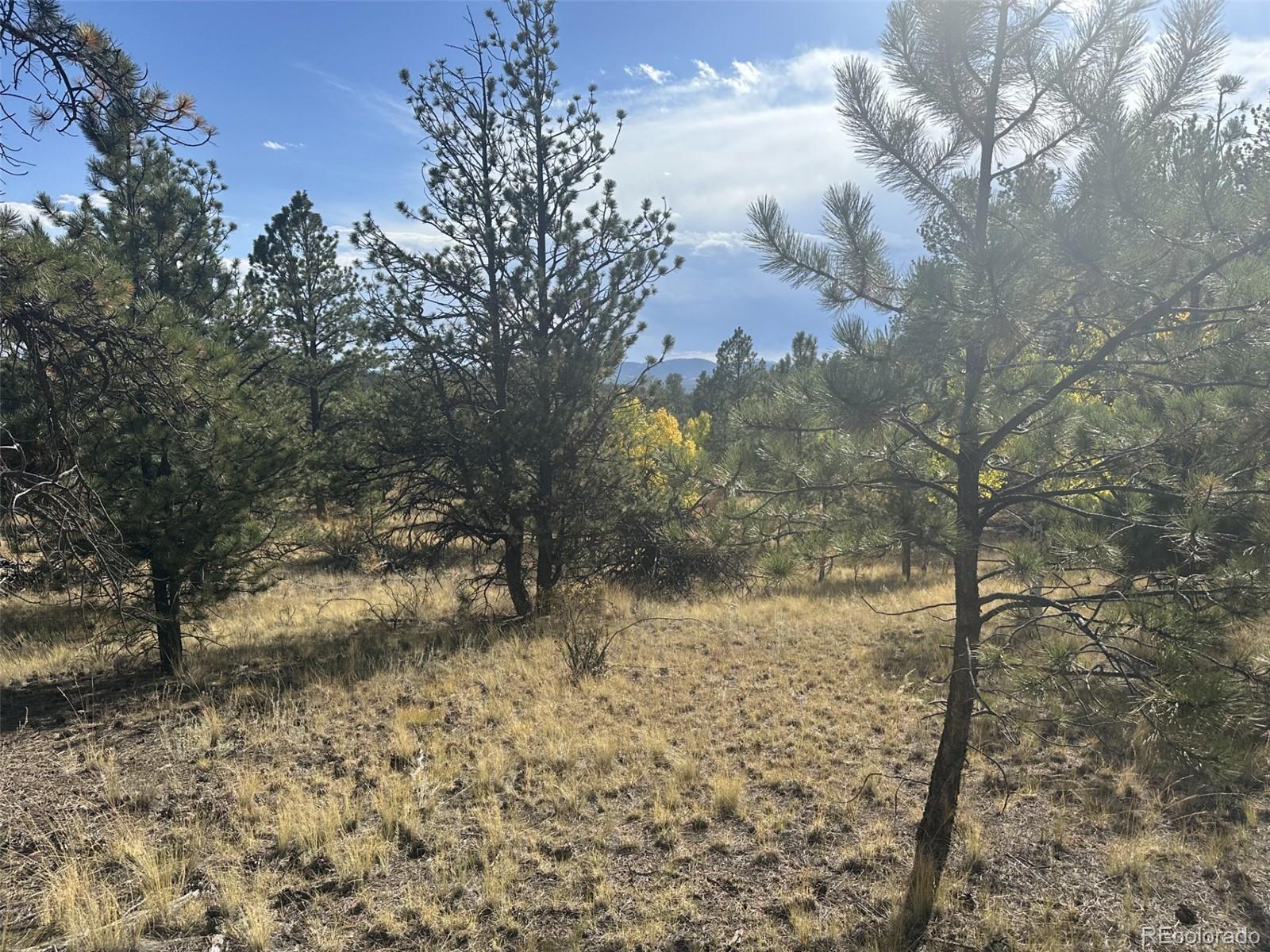30 Shavano Way, Florissant, CO 80816, ,Land,For Sale,Shavano,REC7223345
