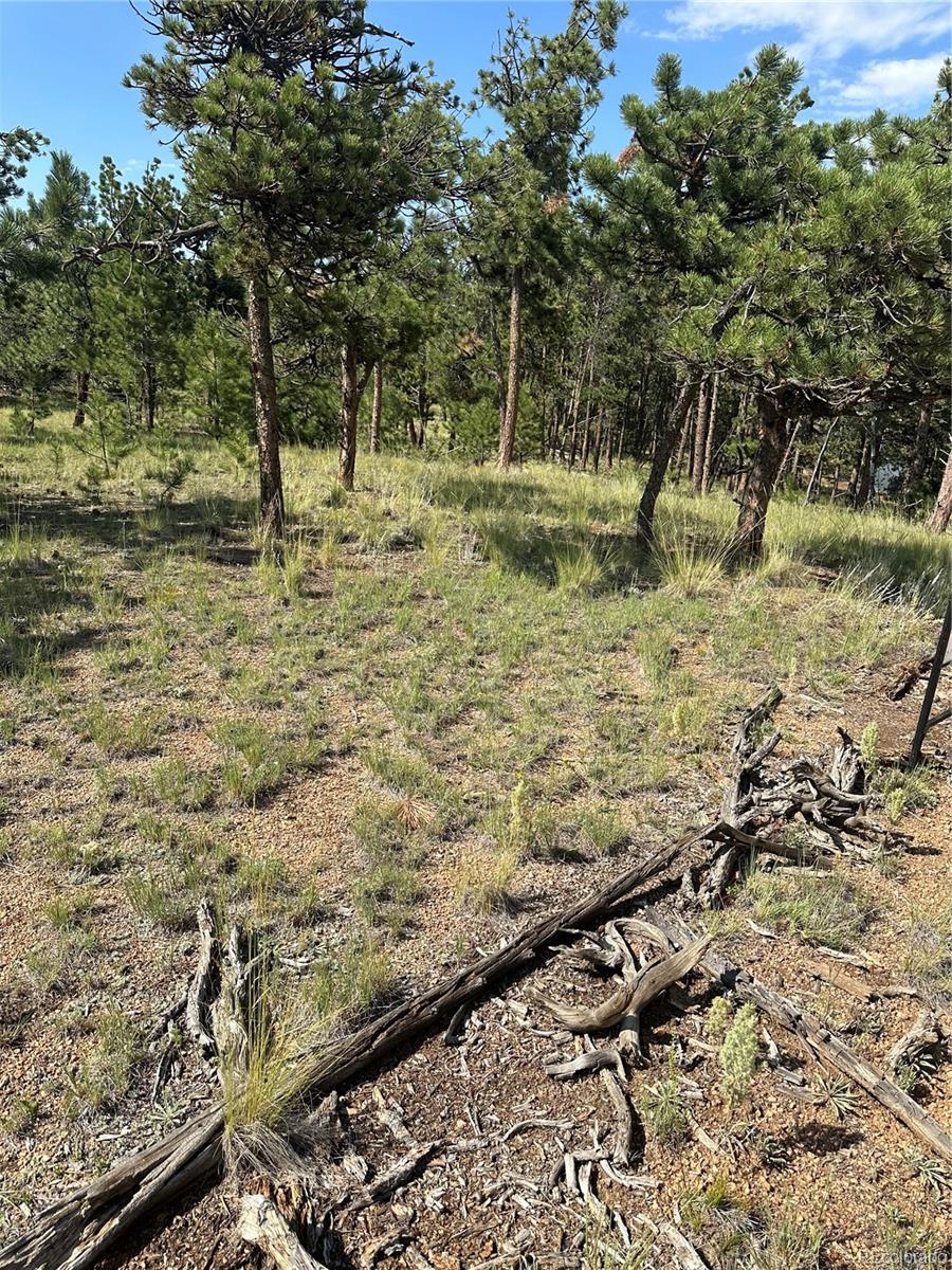 315 Thunder Ridge Road, Florissant, CO 80816, ,Land,For Sale,Thunder Ridge,REC2332212