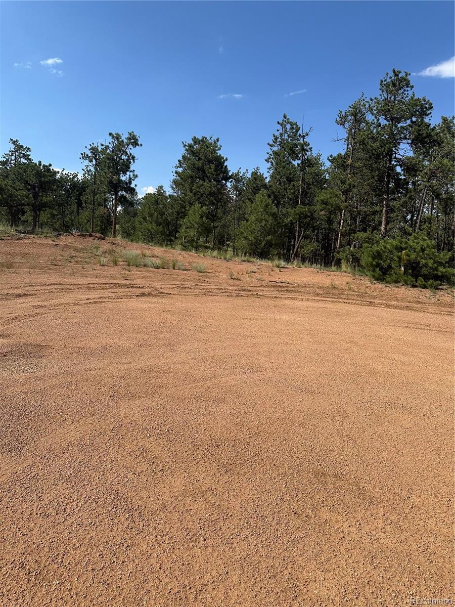 315 Thunder Ridge Road, Florissant, CO 80816, ,Land,For Sale,Thunder Ridge,REC2332212