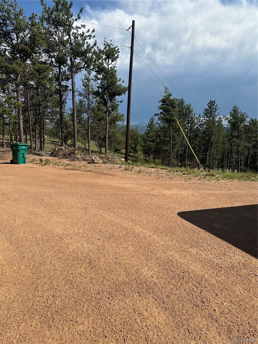 315 Thunder Ridge Road, Florissant, CO 80816, ,Land,For Sale,Thunder Ridge,REC2332212