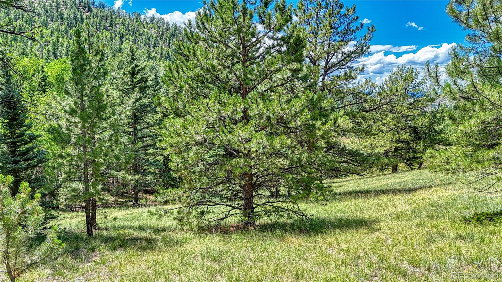 329 Wabash Terrace, Cripple Creek, CO 80813, ,Land,For Sale,Wabash,REC4555526