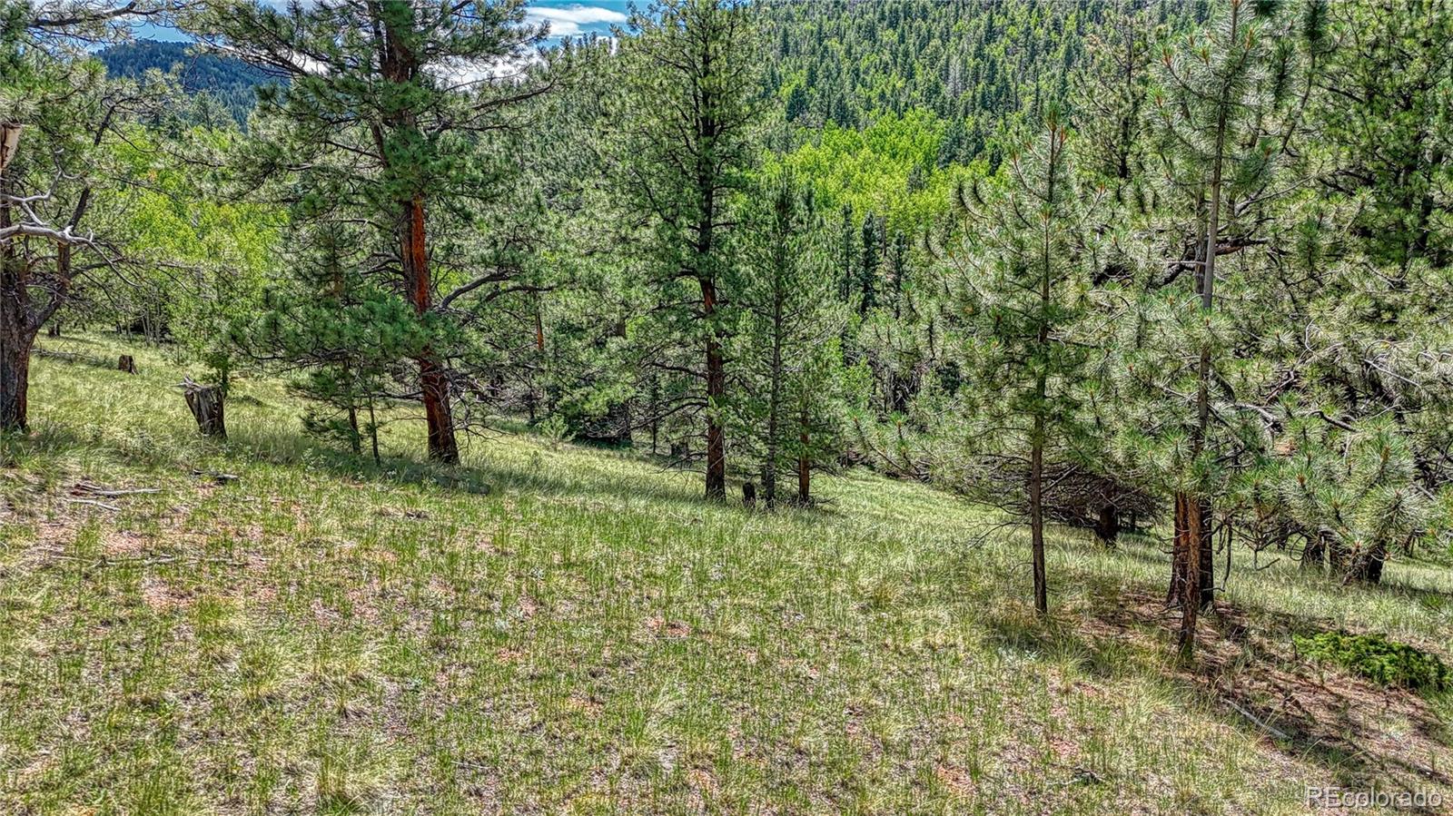 329 Wabash Terrace, Cripple Creek, CO 80813, ,Land,For Sale,Wabash,REC4555526