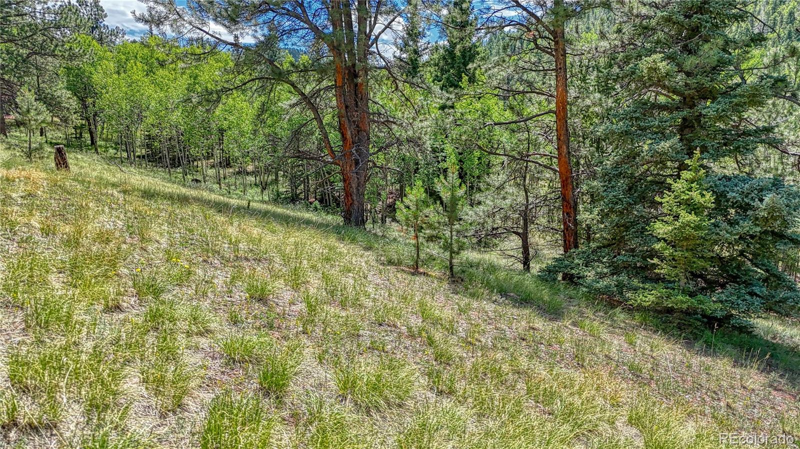 329 Wabash Terrace, Cripple Creek, CO 80813, ,Land,For Sale,Wabash,REC4555526
