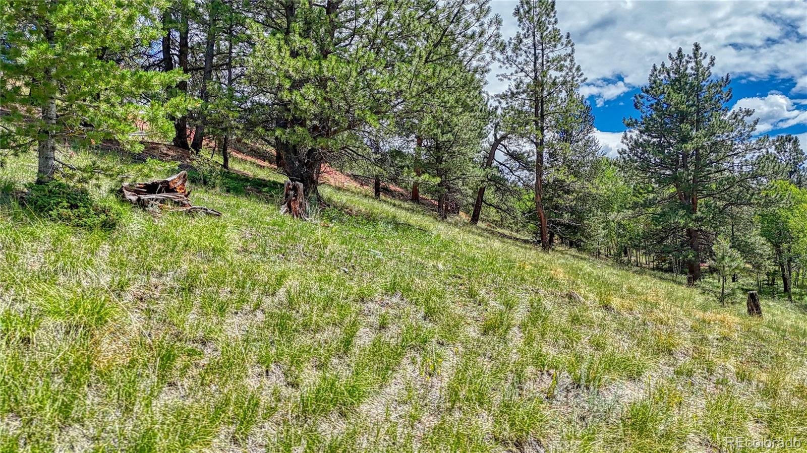 329 Wabash Terrace, Cripple Creek, CO 80813, ,Land,For Sale,Wabash,REC4555526