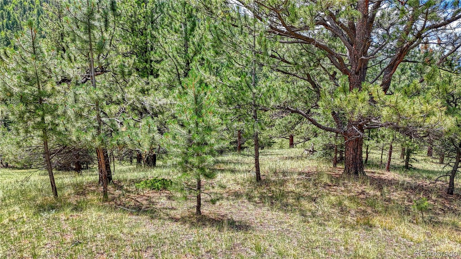 329 Wabash Terrace, Cripple Creek, CO 80813, ,Land,For Sale,Wabash,REC4555526