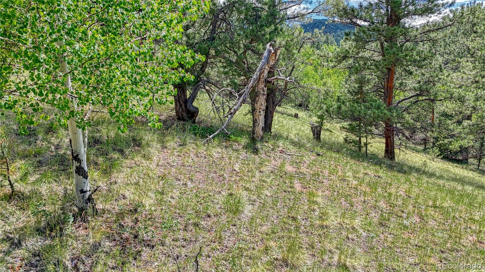 329 Wabash Terrace, Cripple Creek, CO 80813, ,Land,For Sale,Wabash,REC4555526