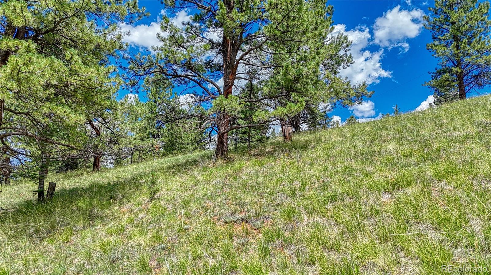 329 Wabash Terrace, Cripple Creek, CO 80813, ,Land,For Sale,Wabash,REC4555526