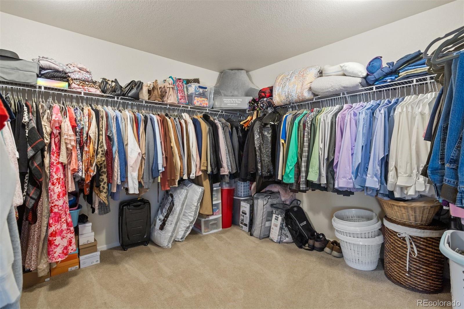 4190 Astrion Court, Castle Rock, CO 80104, 4 Bedrooms Bedrooms, ,3 BathroomsBathrooms,Residential,For Sale,Astrion,REC5941335