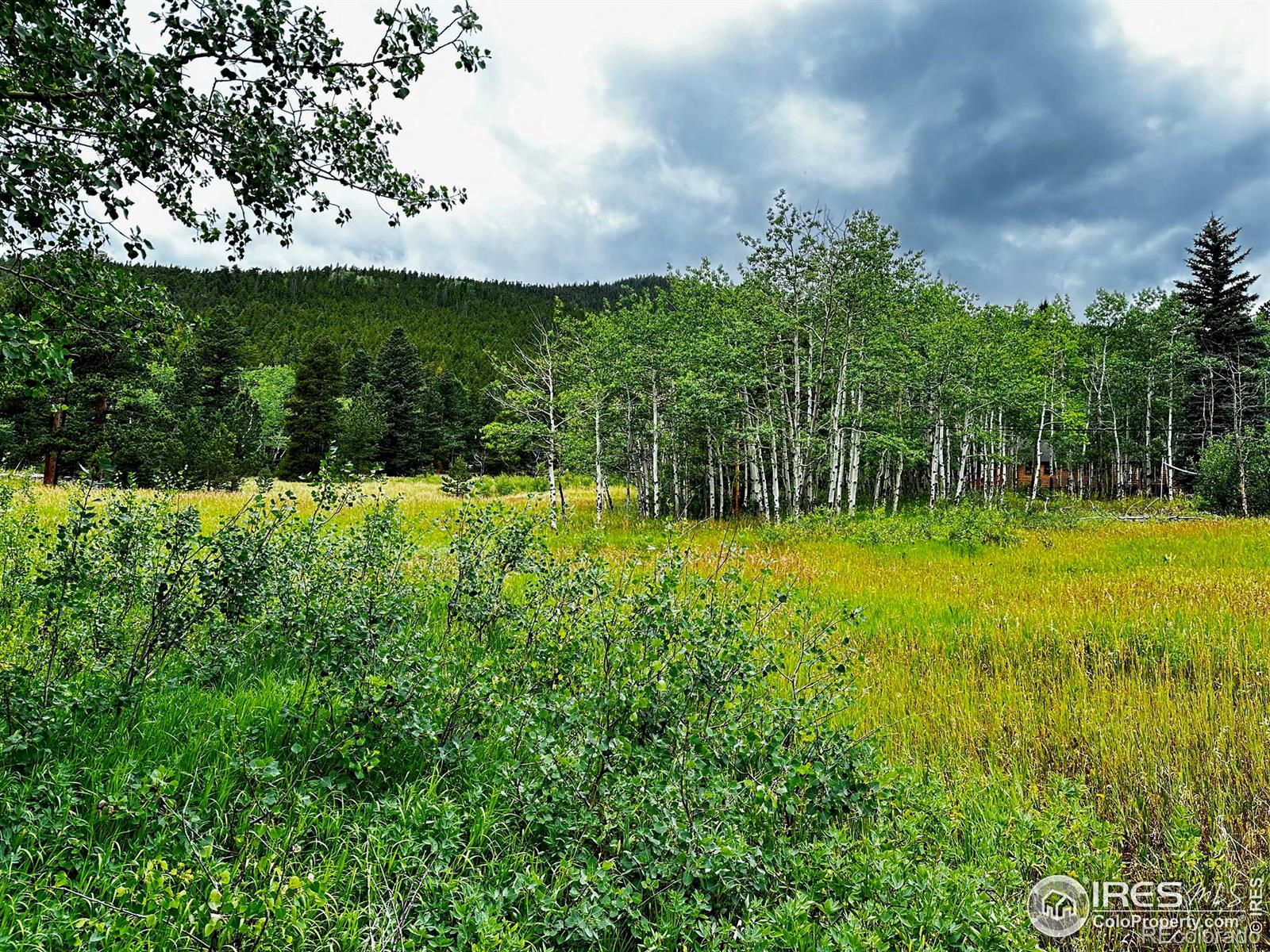 928 Ski Road, Allenspark, CO 80510, ,Land,For Sale,Ski,RECIR1016202
