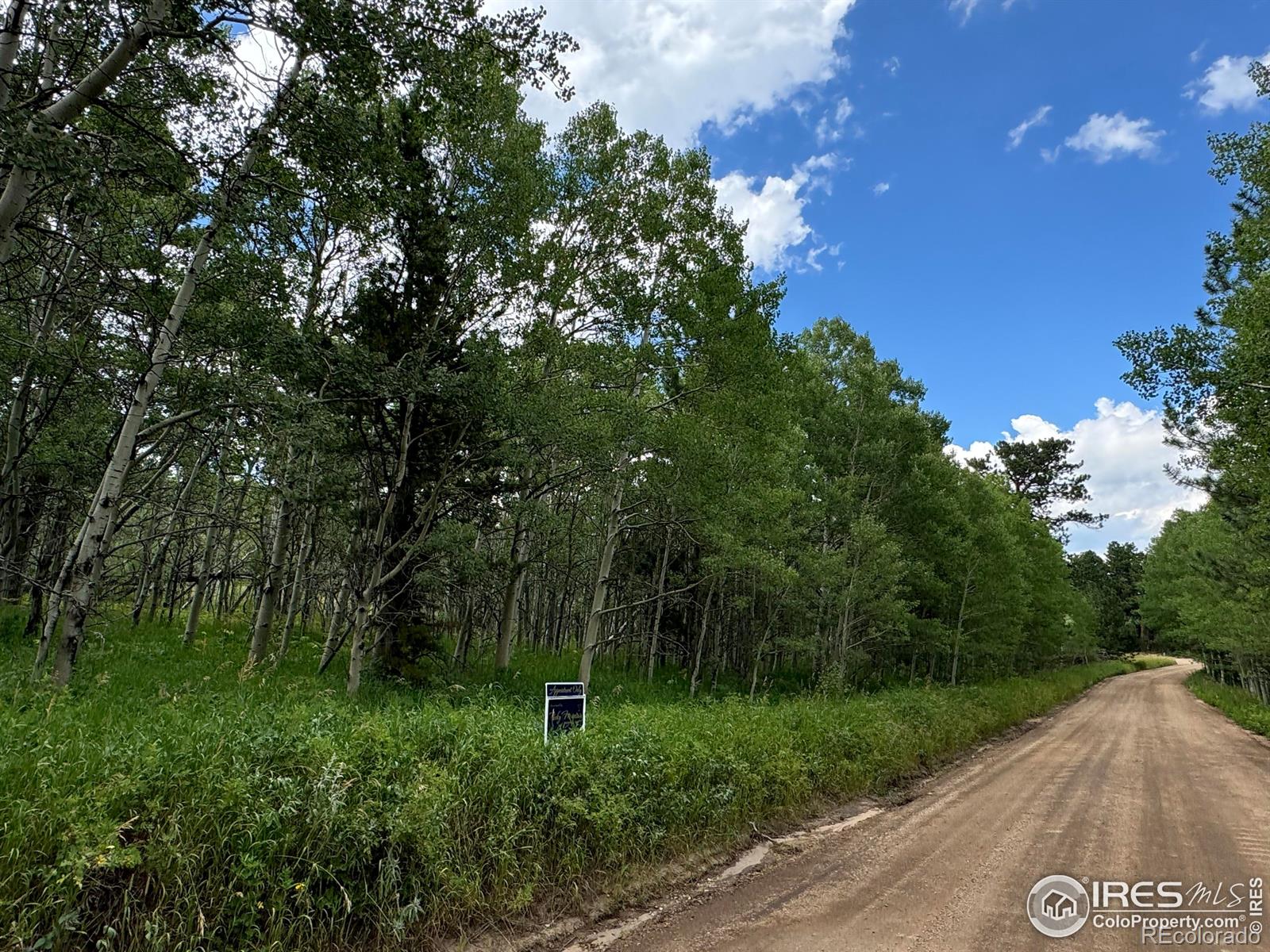 928 Ski Road, Allenspark, CO 80510, ,Land,For Sale,Ski,RECIR1016202