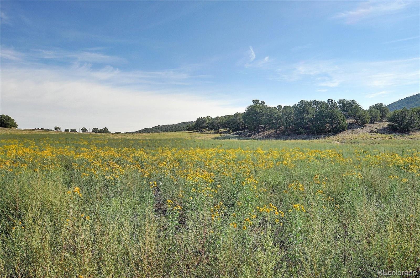 11905 Highland Circle, Salida, CO 81201, 4 Bedrooms Bedrooms, ,4 BathroomsBathrooms,Residential,For Sale,Highland,REC9776906