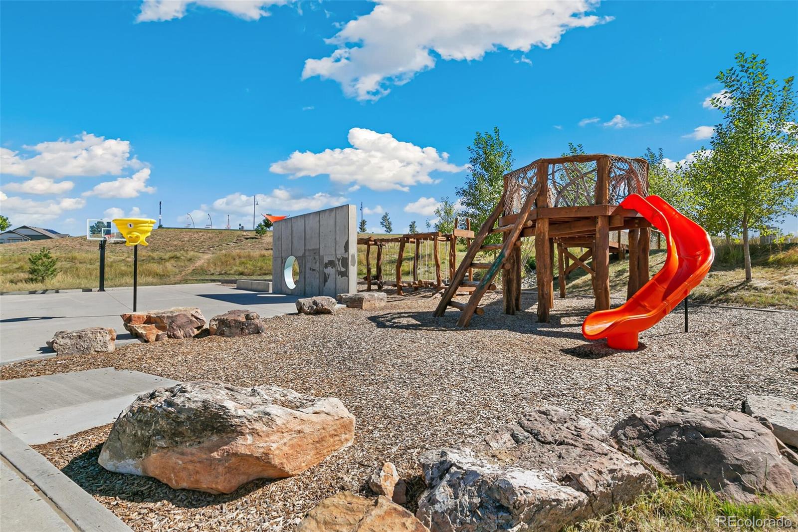 21024 63rd Drive, Aurora, CO 80019, 3 Bedrooms Bedrooms, ,3 BathroomsBathrooms,Residential,For Sale,63rd,REC7464527