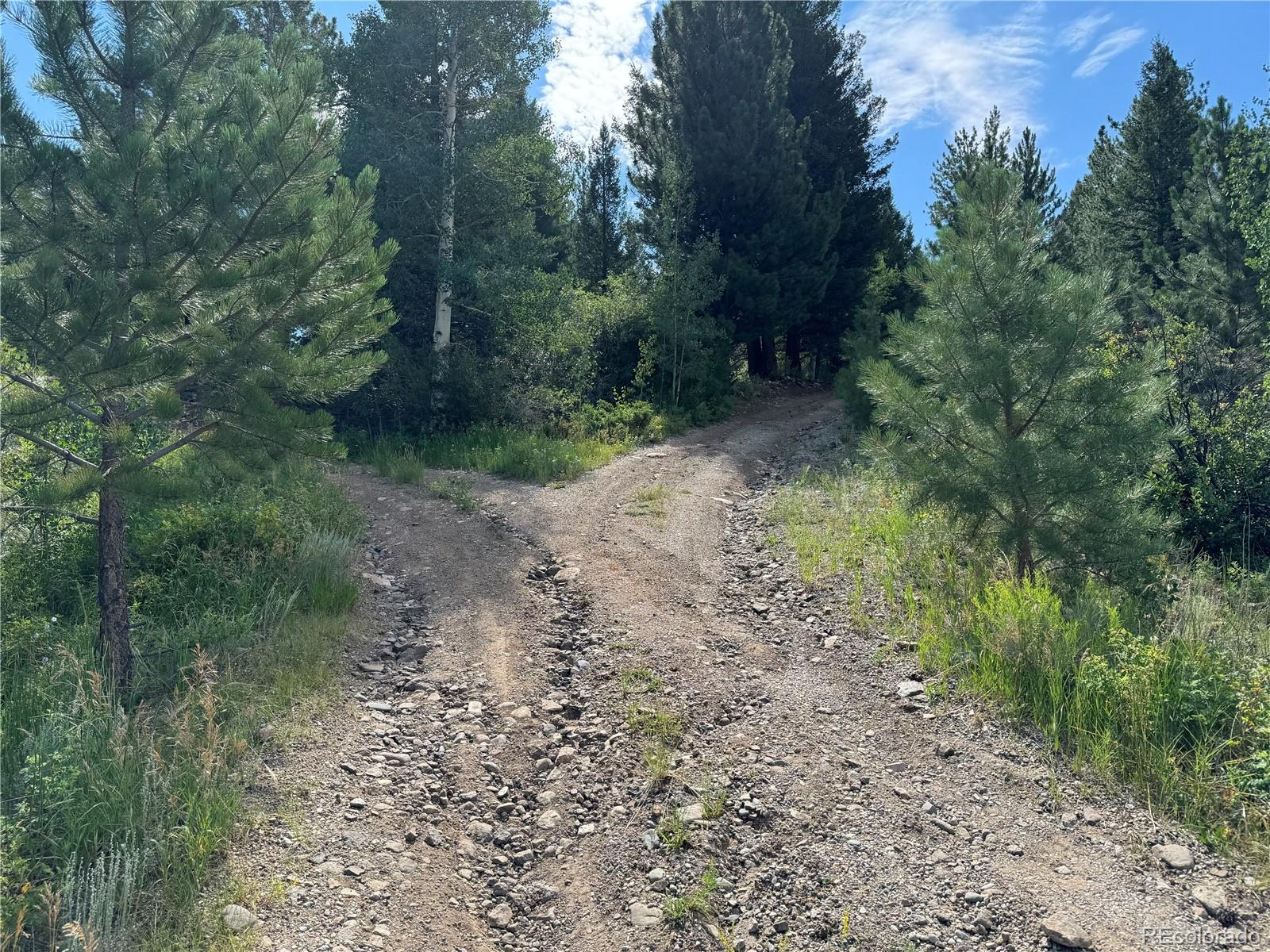 1001 County Road 200, Poncha Springs, CO 81242, 3 Bedrooms Bedrooms, ,2 BathroomsBathrooms,Residential,For Sale,County Road 200,REC9505764