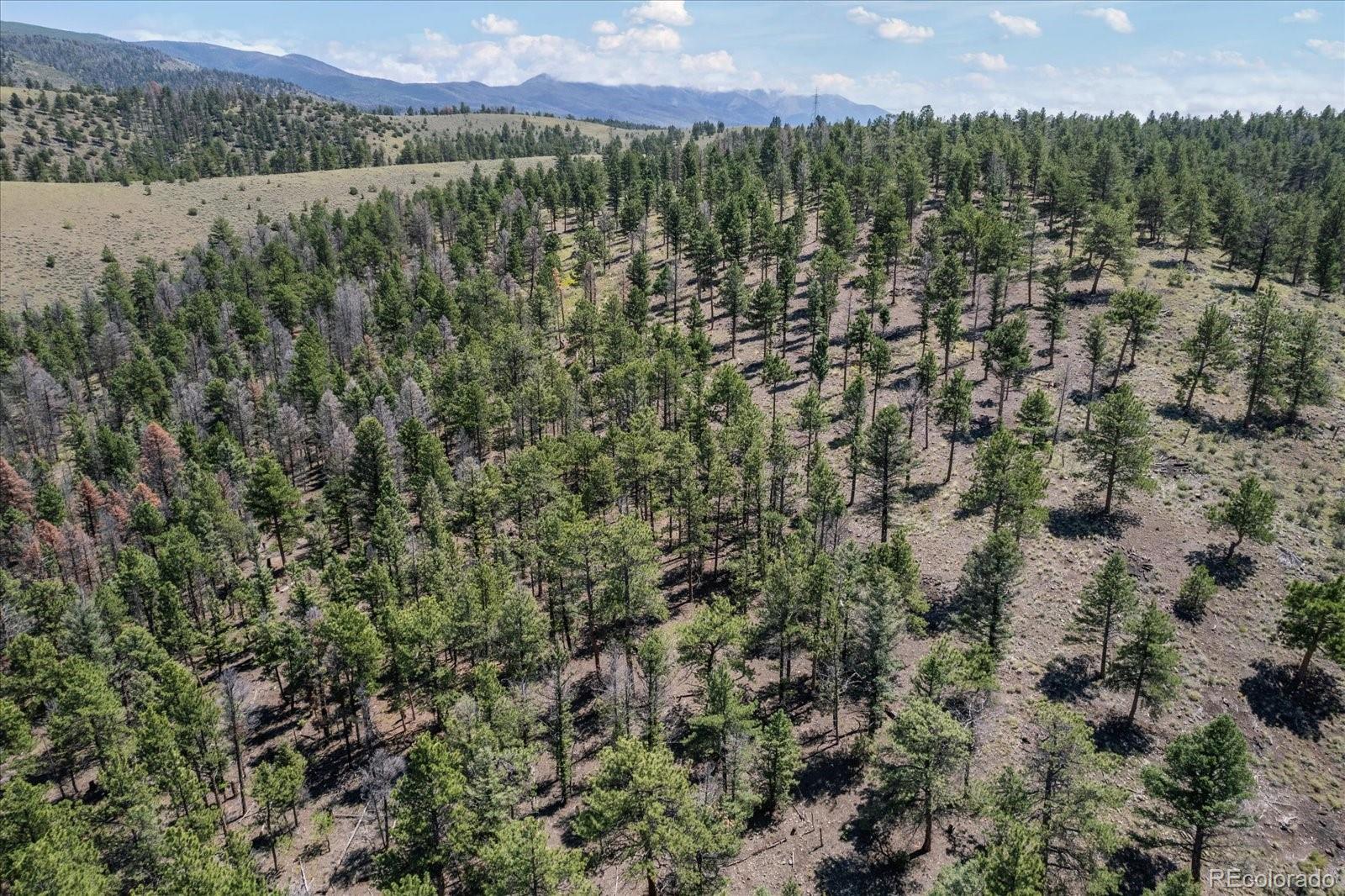 1001 County Road 200, Poncha Springs, CO 81242, 3 Bedrooms Bedrooms, ,2 BathroomsBathrooms,Residential,For Sale,County Road 200,REC9505764