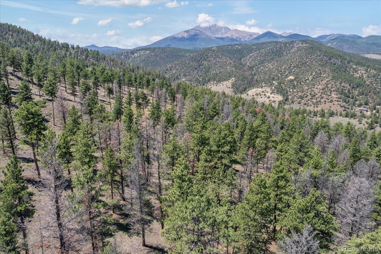 1001 County Road 200, Poncha Springs, CO 81242, 3 Bedrooms Bedrooms, ,2 BathroomsBathrooms,Residential,For Sale,County Road 200,REC9505764