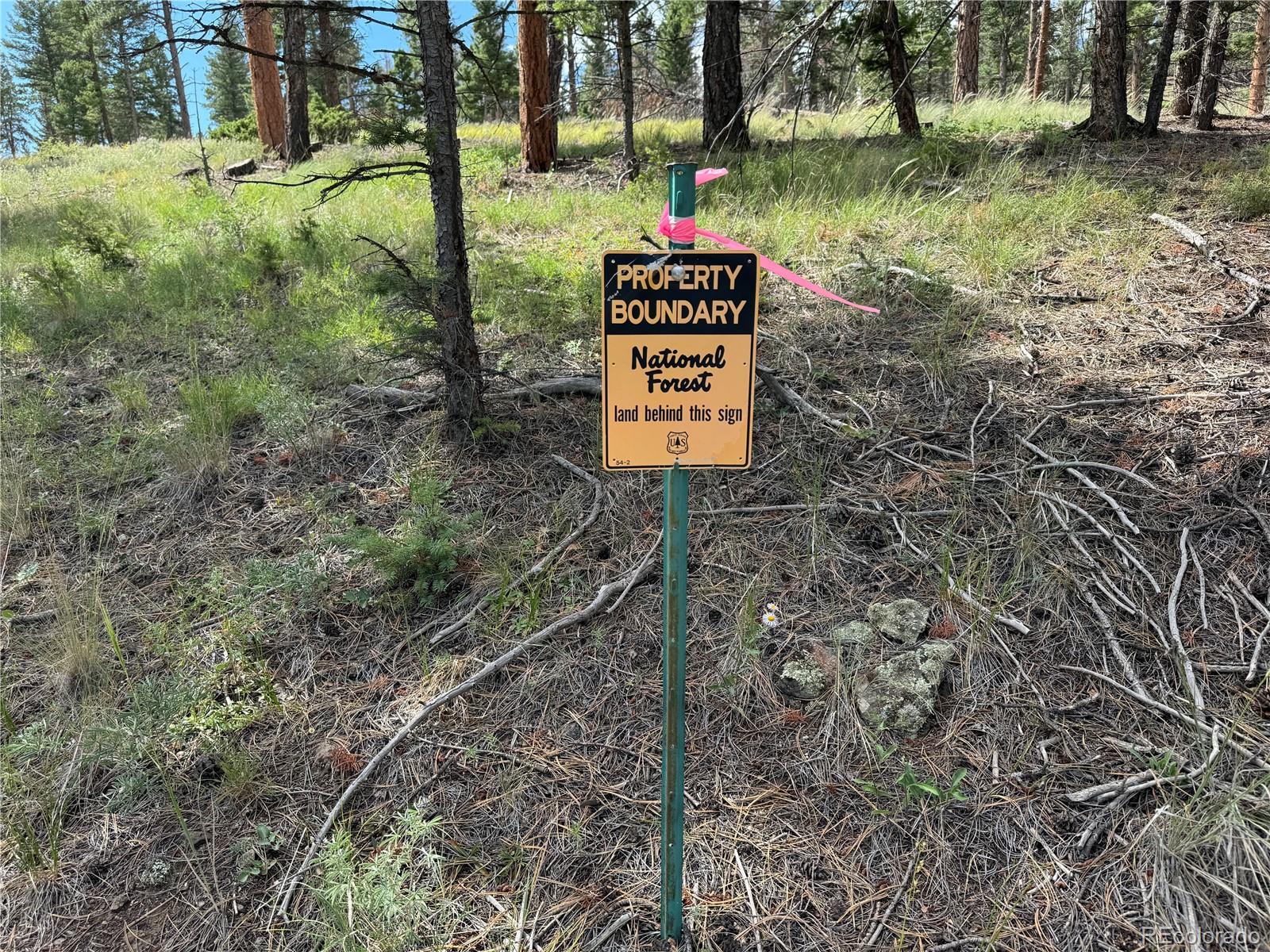 1001 County Road 200, Poncha Springs, CO 81242, 3 Bedrooms Bedrooms, ,2 BathroomsBathrooms,Residential,For Sale,County Road 200,REC9505764