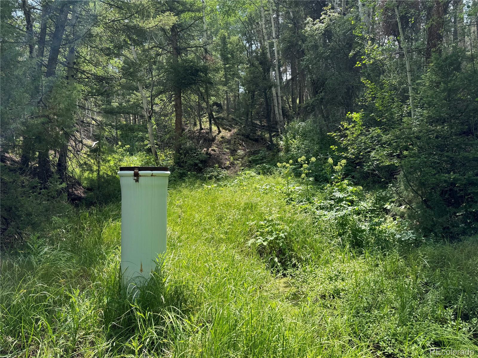 1001 County Road 200, Poncha Springs, CO 81242, 3 Bedrooms Bedrooms, ,2 BathroomsBathrooms,Residential,For Sale,County Road 200,REC9505764