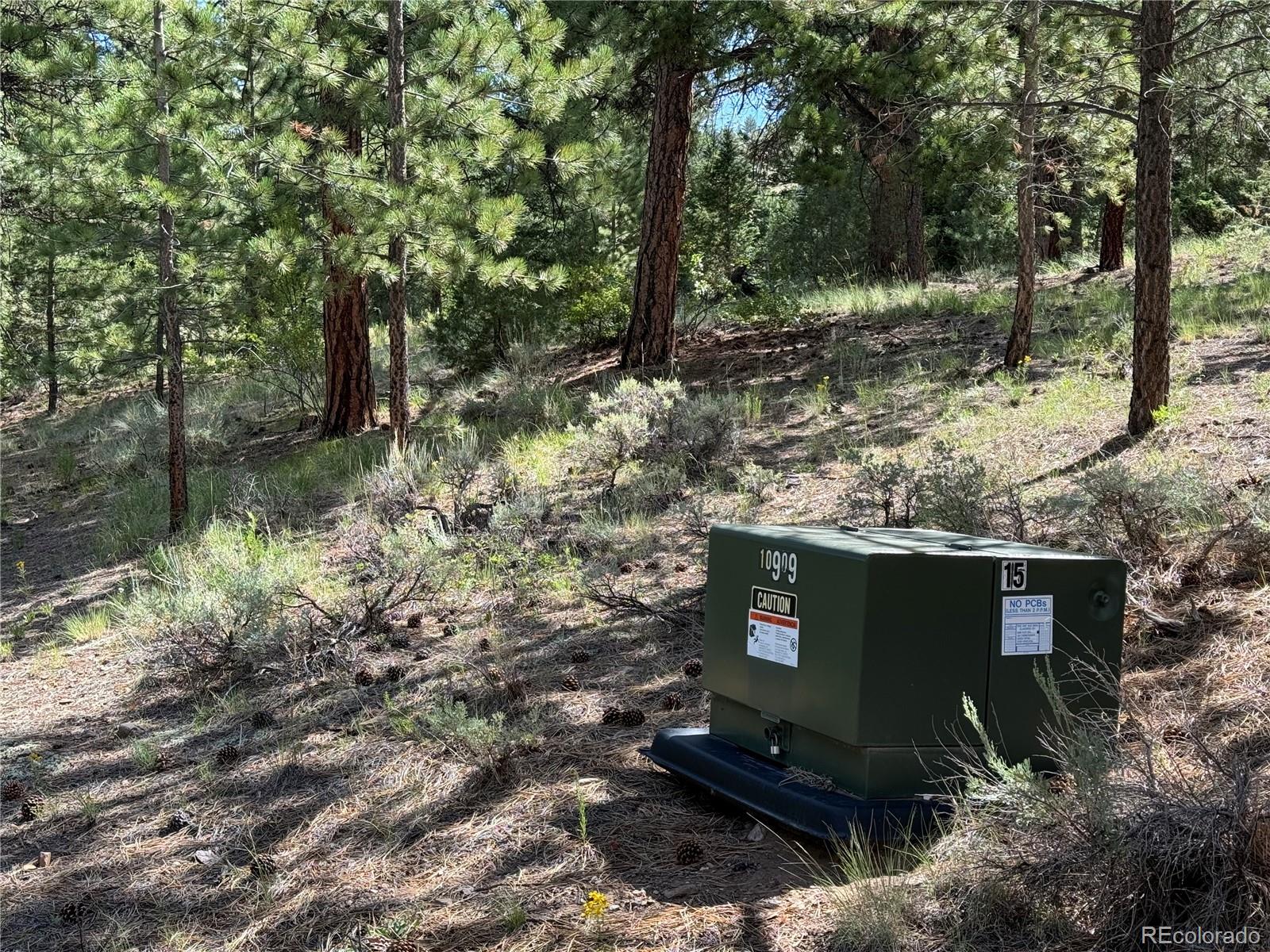 1001 County Road 200, Poncha Springs, CO 81242, 3 Bedrooms Bedrooms, ,2 BathroomsBathrooms,Residential,For Sale,County Road 200,REC9505764