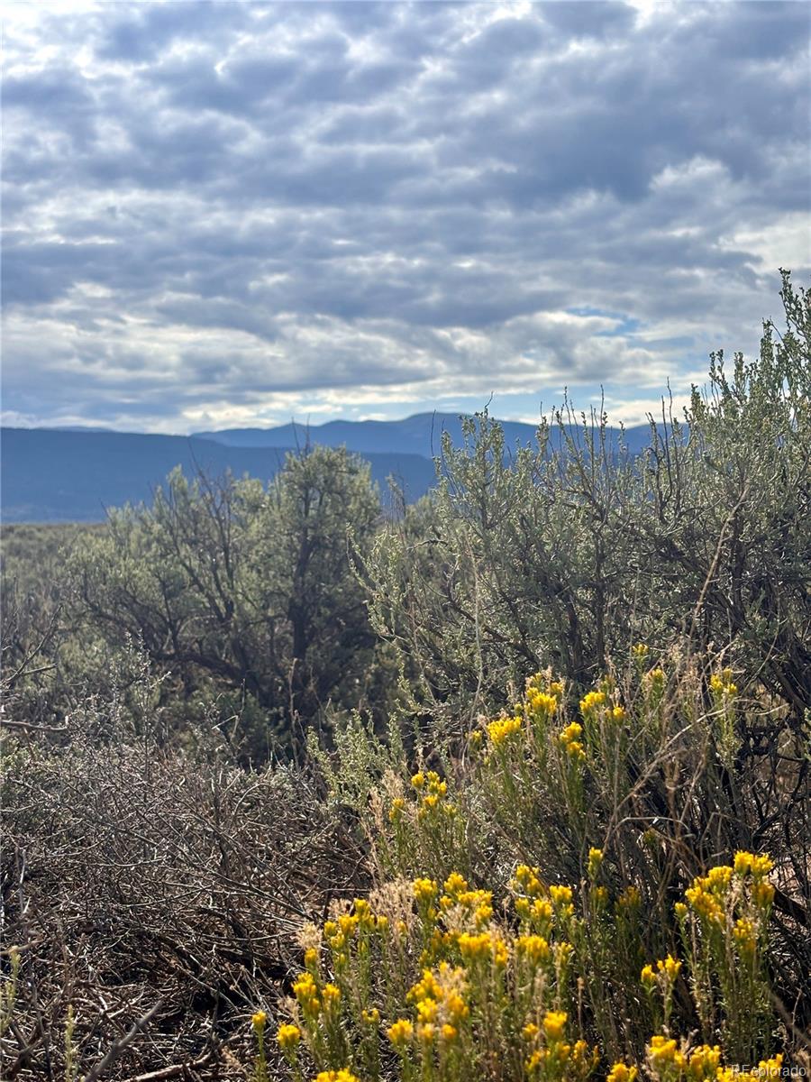 11.5, San Luis, CO 81152, ,Land,For Sale,11.5,REC9837630