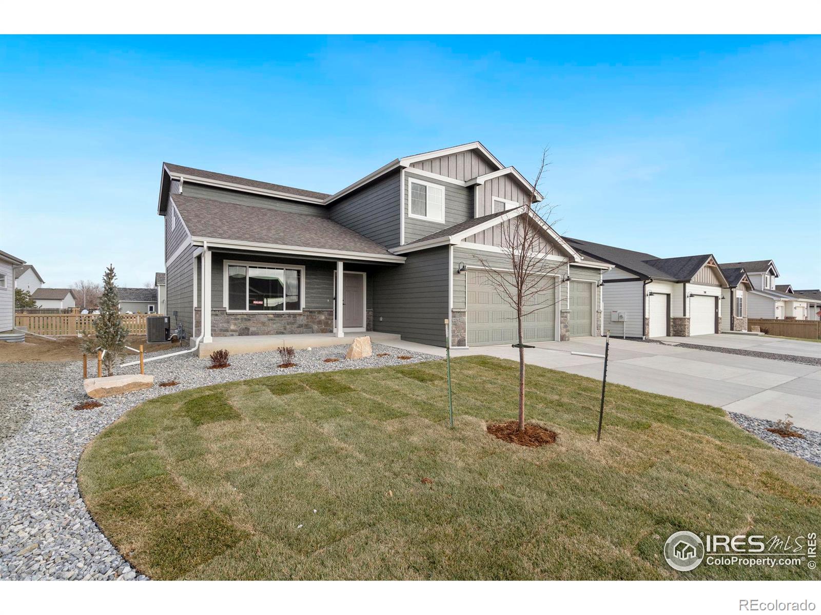 3288 Buffalo Grass Lane, Wellington, CO 80549, 4 Bedrooms Bedrooms, ,4 BathroomsBathrooms,Residential,For Sale,Buffalo Grass,RECIR1016590