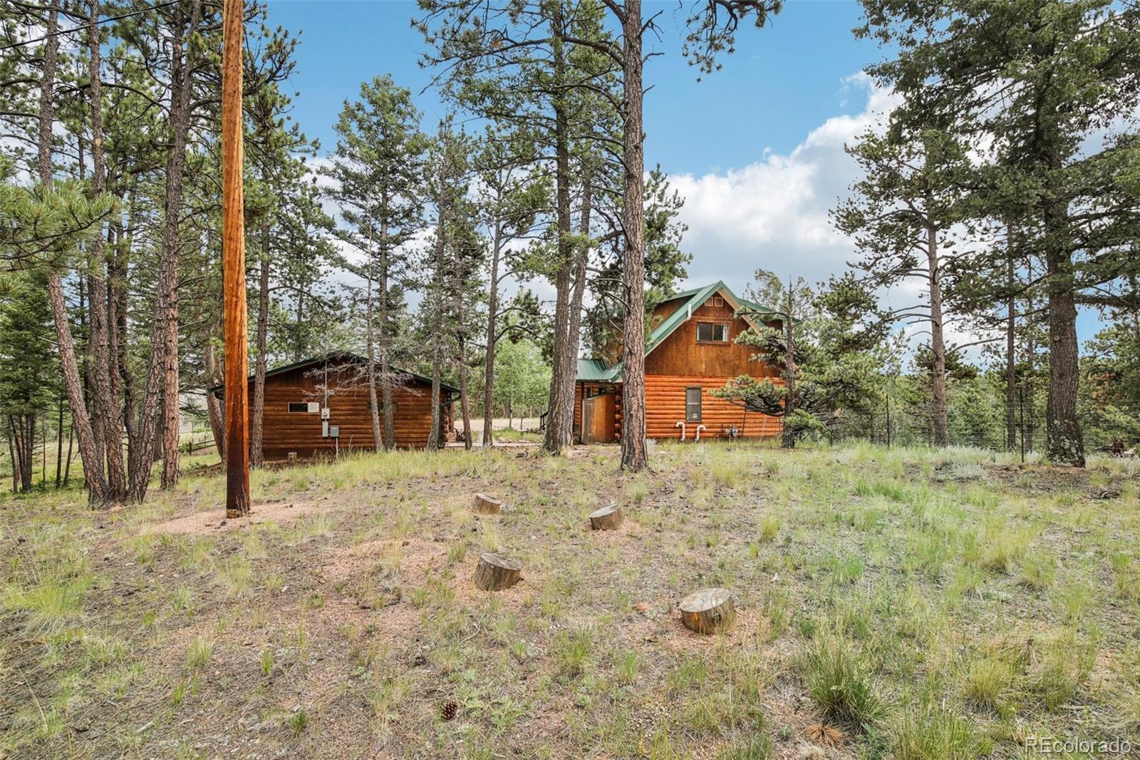 179 Rainier Drive, Florissant, CO 80816, 2 Bedrooms Bedrooms, ,1 BathroomBathrooms,Residential,For Sale,Rainier,REC8511536