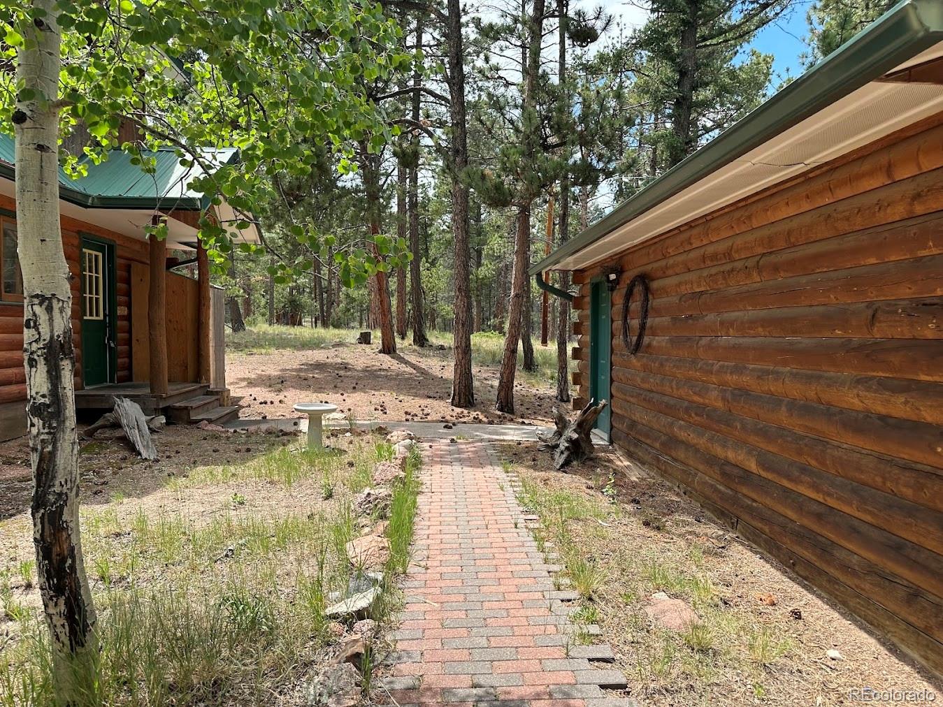 179 Rainier Drive, Florissant, CO 80816, 2 Bedrooms Bedrooms, ,1 BathroomBathrooms,Residential,For Sale,Rainier,REC8511536