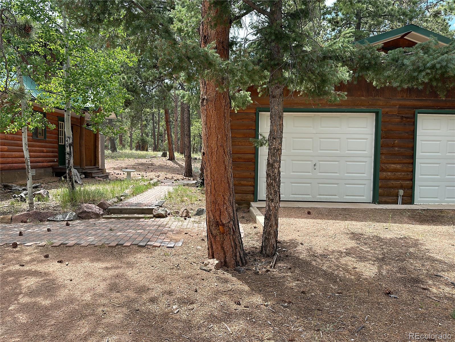 179 Rainier Drive, Florissant, CO 80816, 2 Bedrooms Bedrooms, ,1 BathroomBathrooms,Residential,For Sale,Rainier,REC8511536