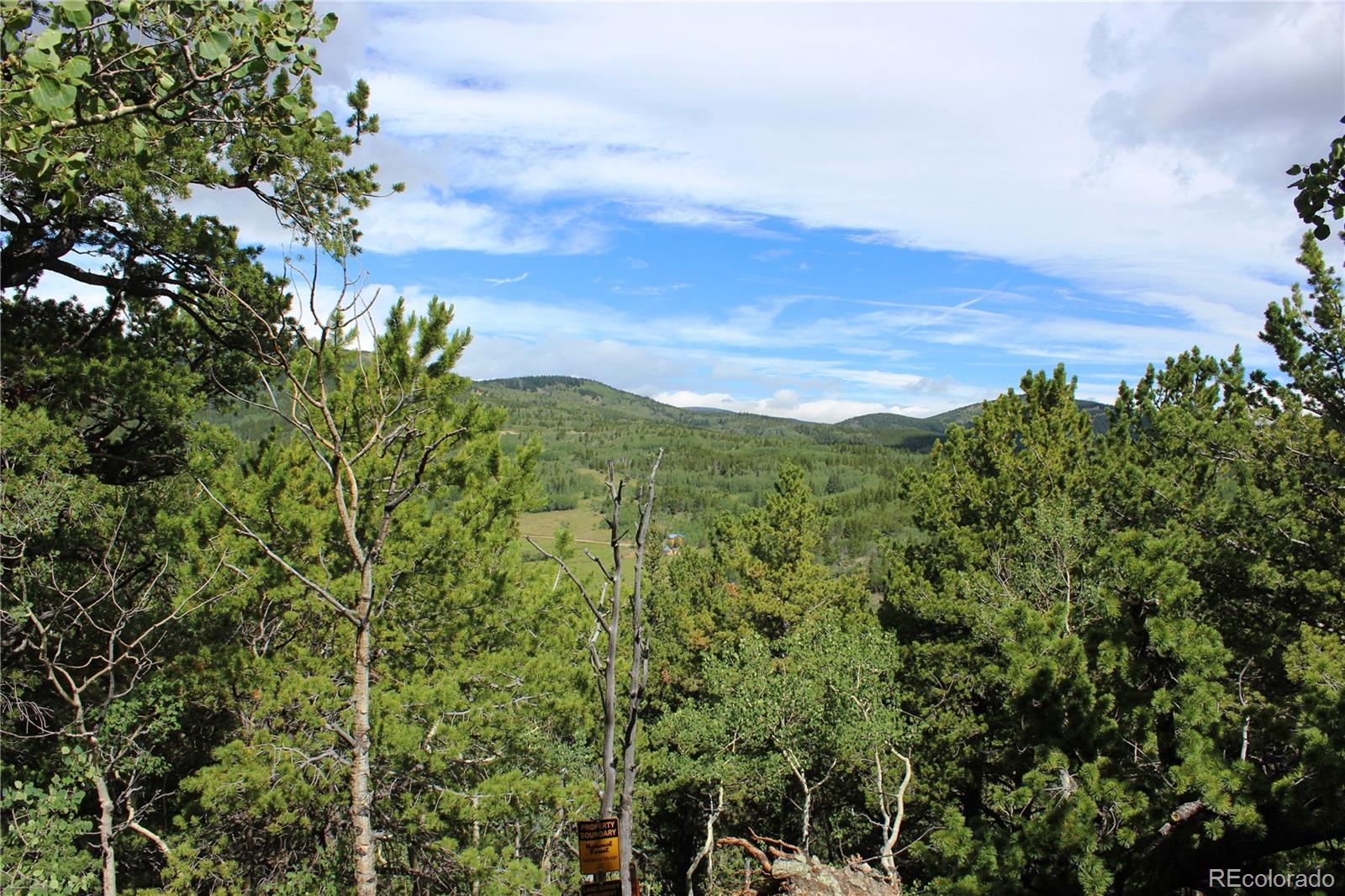 B Horse Peck Spur Road, Idaho Springs, CO 80425, ,Land,For Sale,Peck Spur,REC1751060