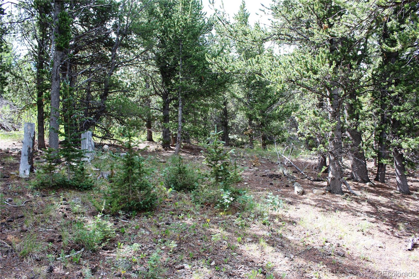 B Horse Peck Spur Road, Idaho Springs, CO 80425, ,Land,For Sale,Peck Spur,REC1751060