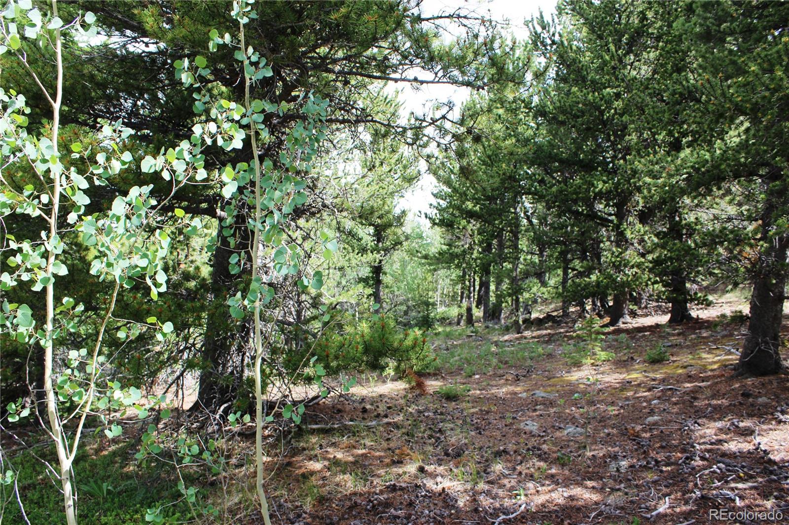 B Horse Peck Spur Road, Idaho Springs, CO 80425, ,Land,For Sale,Peck Spur,REC1751060