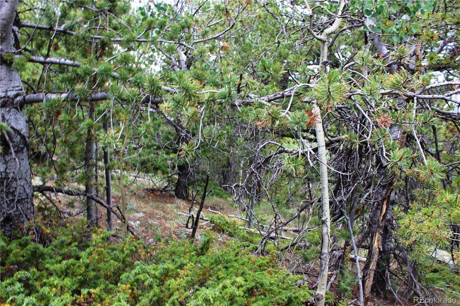 B Horse Peck Spur Road, Idaho Springs, CO 80425, ,Land,For Sale,Peck Spur,REC1751060