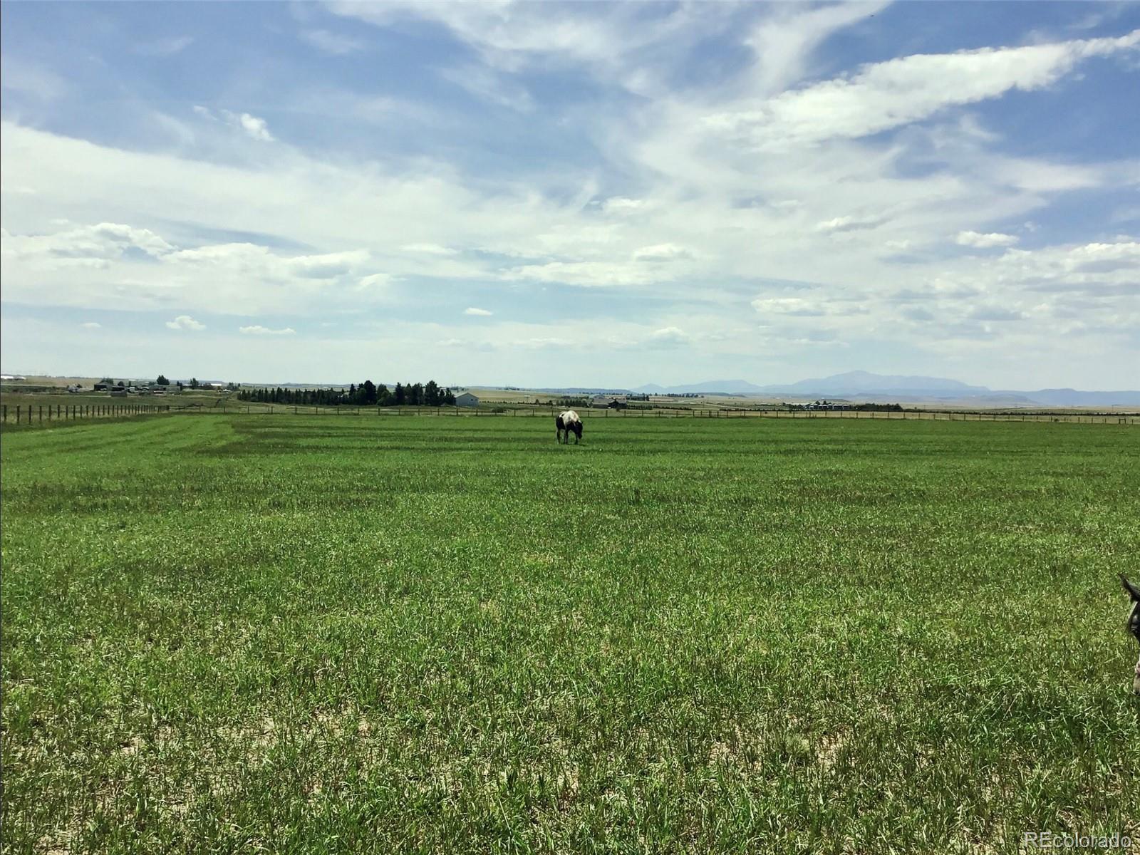 4340 RUSSELLVILLE Road #1, Franktown, CO 80116, 4 Bedrooms Bedrooms, ,4 BathroomsBathrooms,Residential,For Sale,RUSSELLVILLE,REC2537068