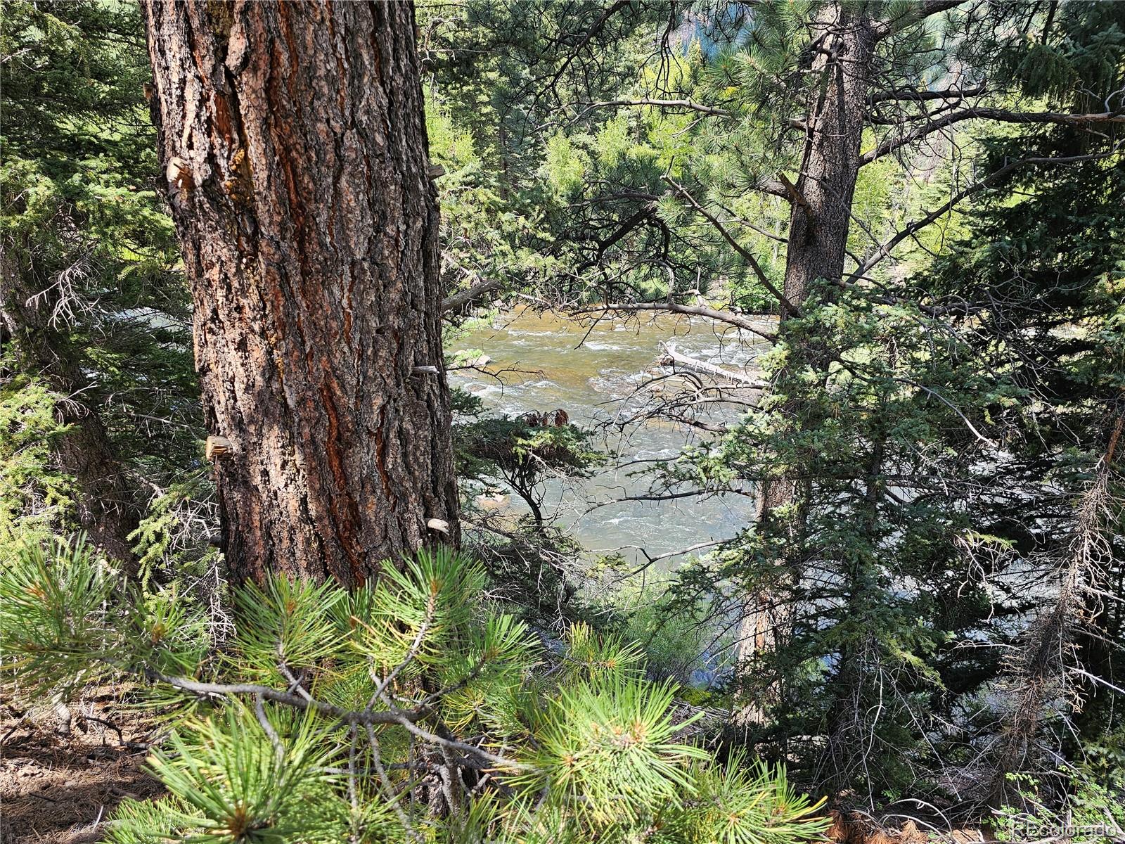 71 Quail Ridge, Antonito, CO 81120, 3 Bedrooms Bedrooms, ,3 BathroomsBathrooms,Residential,For Sale,Quail Ridge,REC6239734