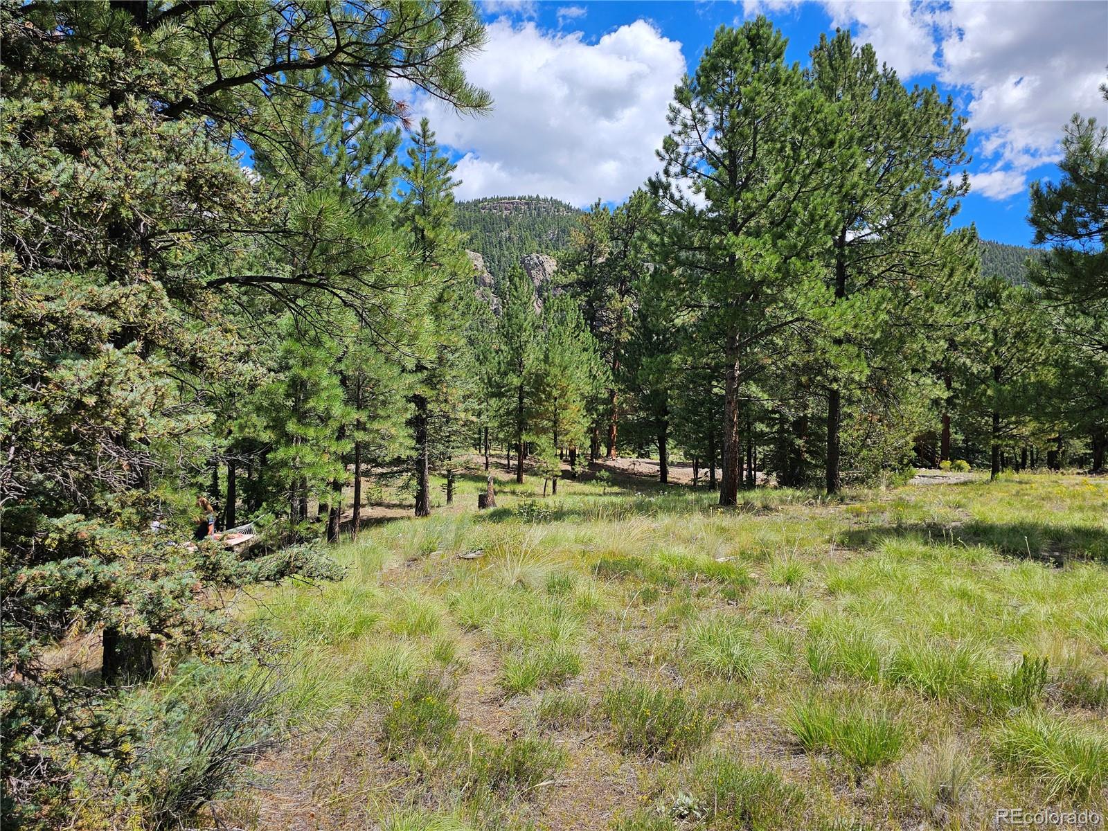 71 Quail Ridge, Antonito, CO 81120, 3 Bedrooms Bedrooms, ,3 BathroomsBathrooms,Residential,For Sale,Quail Ridge,REC6239734