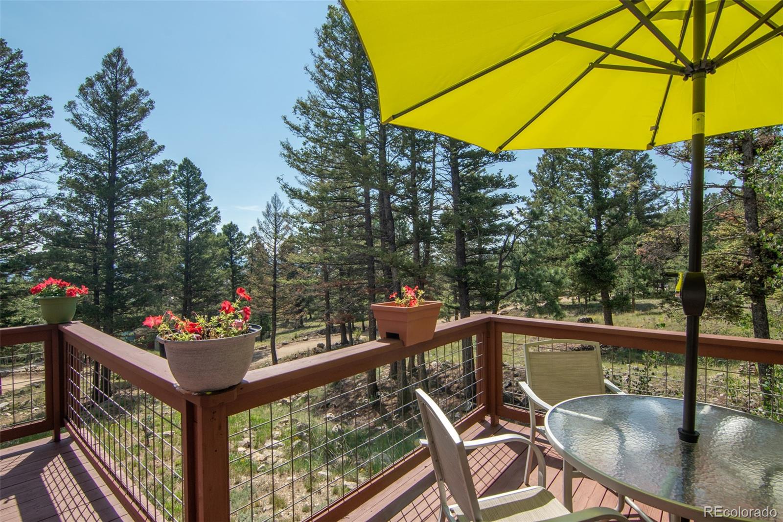 18882 Monte Escondido Drive, Buena Vista, CO 81211, 3 Bedrooms Bedrooms, ,3 BathroomsBathrooms,Residential,For Sale,Monte Escondido,REC2967398