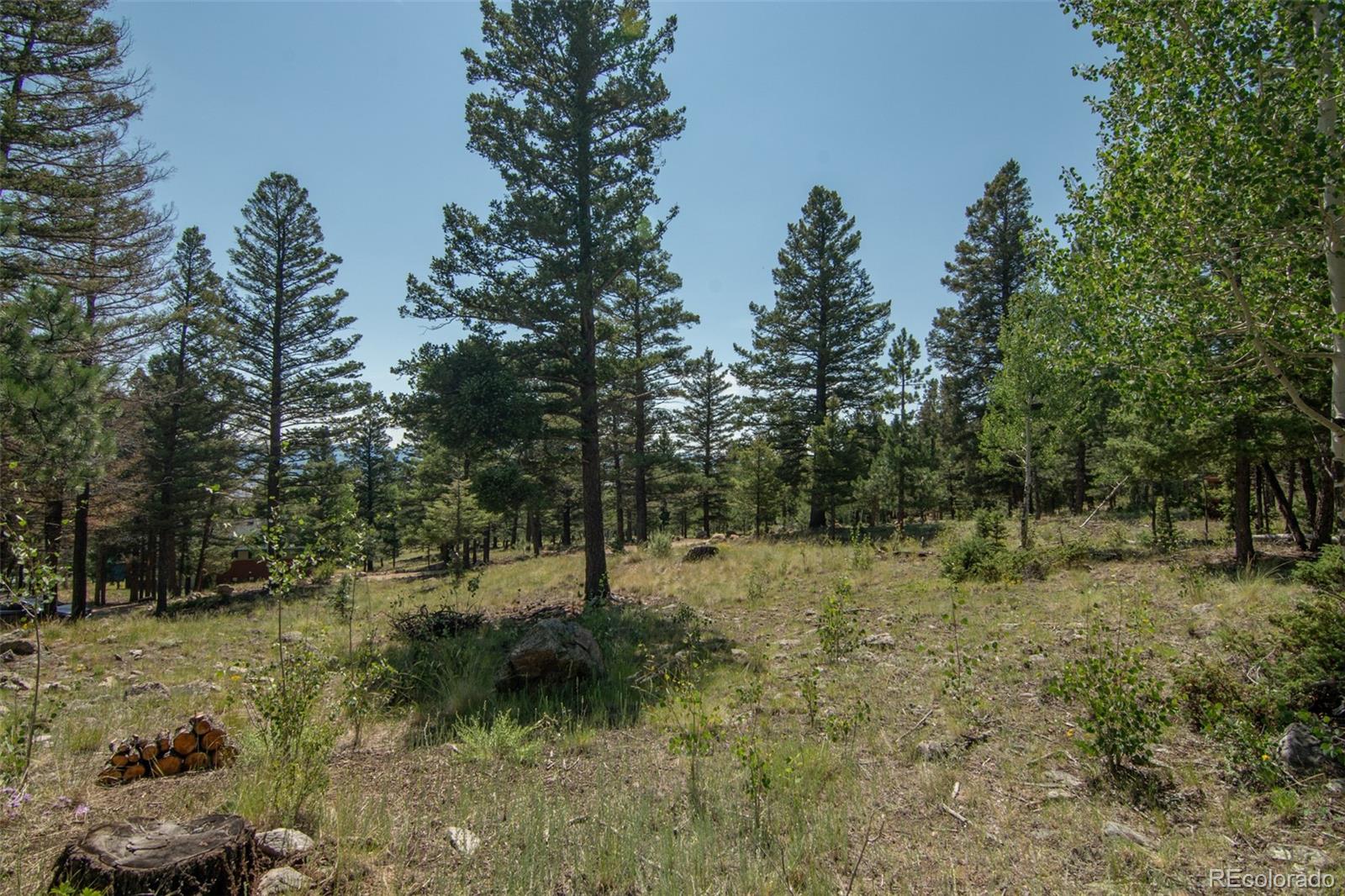 18882 Monte Escondido Drive, Buena Vista, CO 81211, 3 Bedrooms Bedrooms, ,3 BathroomsBathrooms,Residential,For Sale,Monte Escondido,REC2967398