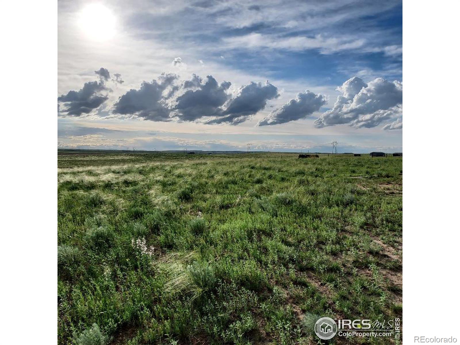 3722 County Road L, Wiggins, CO 80654, ,Land,For Sale,County Road L,RECIR1017240