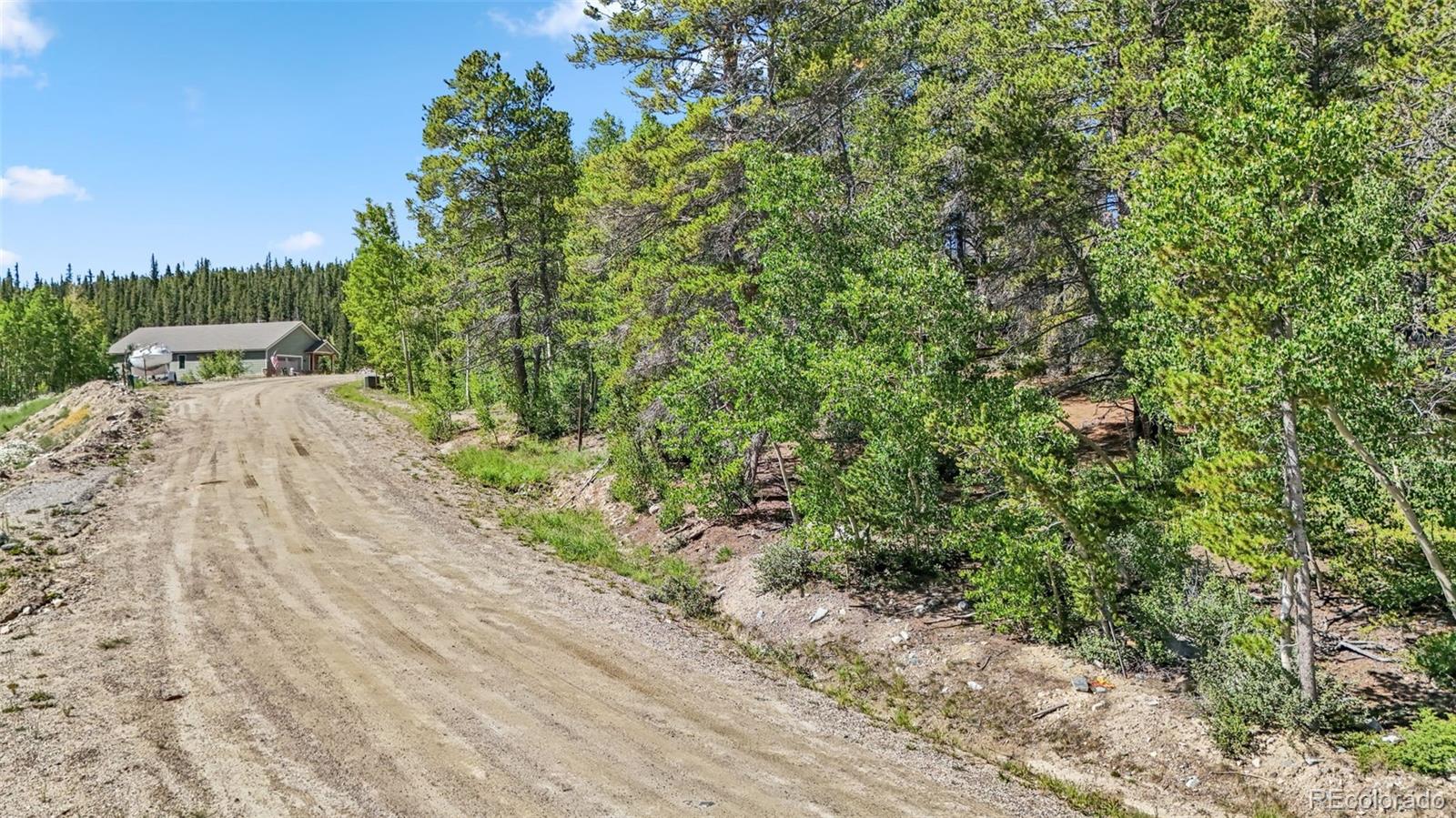 Spruce Street, Alma, CO 80420, ,Land,For Sale,Spruce,REC5710975