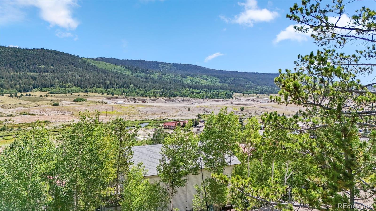 Spruce Street, Alma, CO 80420, ,Land,For Sale,Spruce,REC5710975