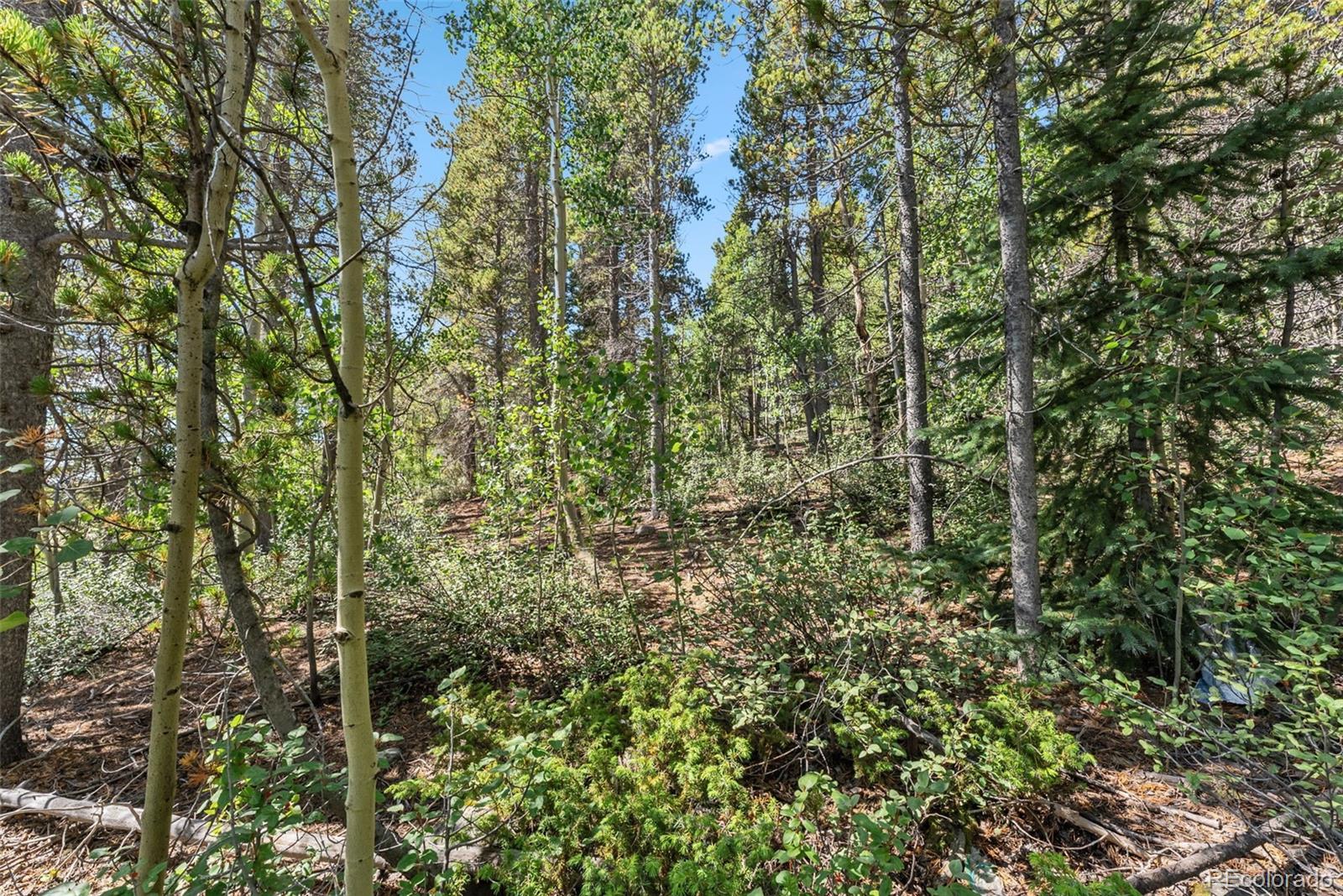 Spruce Street, Alma, CO 80420, ,Land,For Sale,Spruce,REC5710975