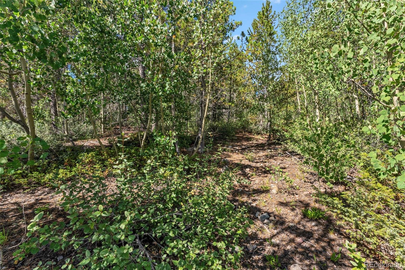 Spruce Street, Alma, CO 80420, ,Land,For Sale,Spruce,REC5710975