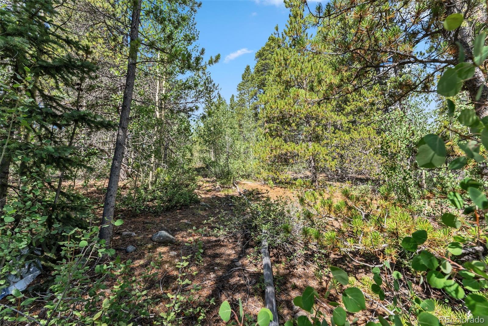Spruce Street, Alma, CO 80420, ,Land,For Sale,Spruce,REC5710975