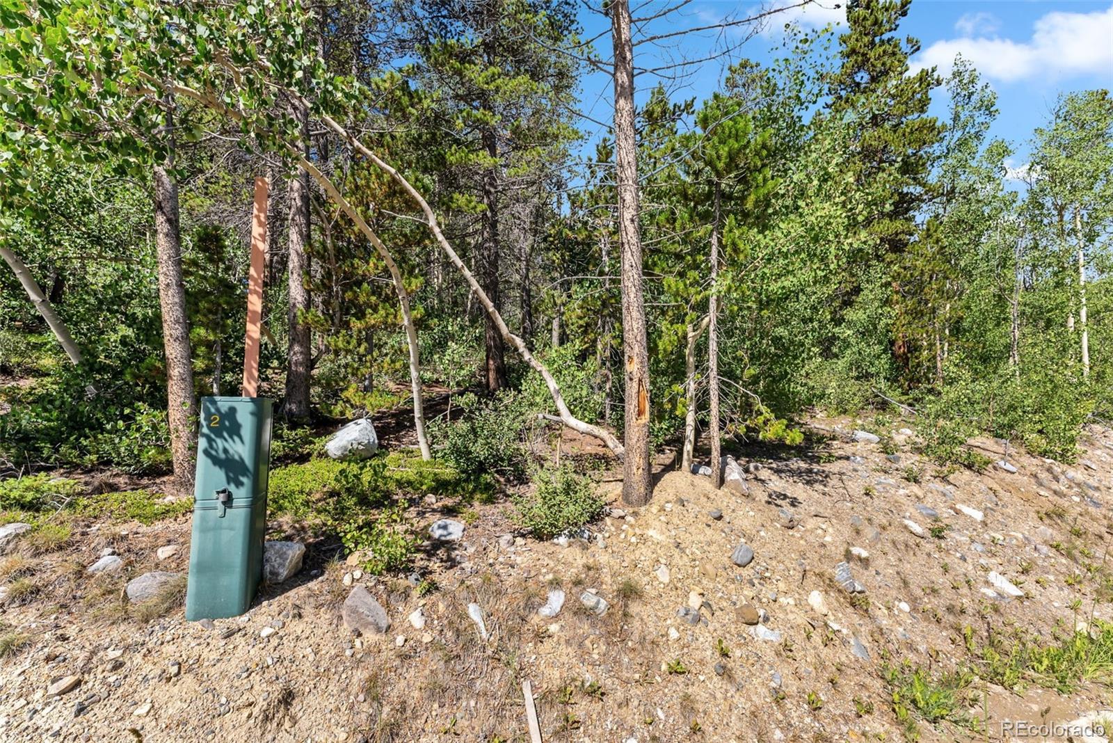 Spruce Street, Alma, CO 80420, ,Land,For Sale,Spruce,REC5710975