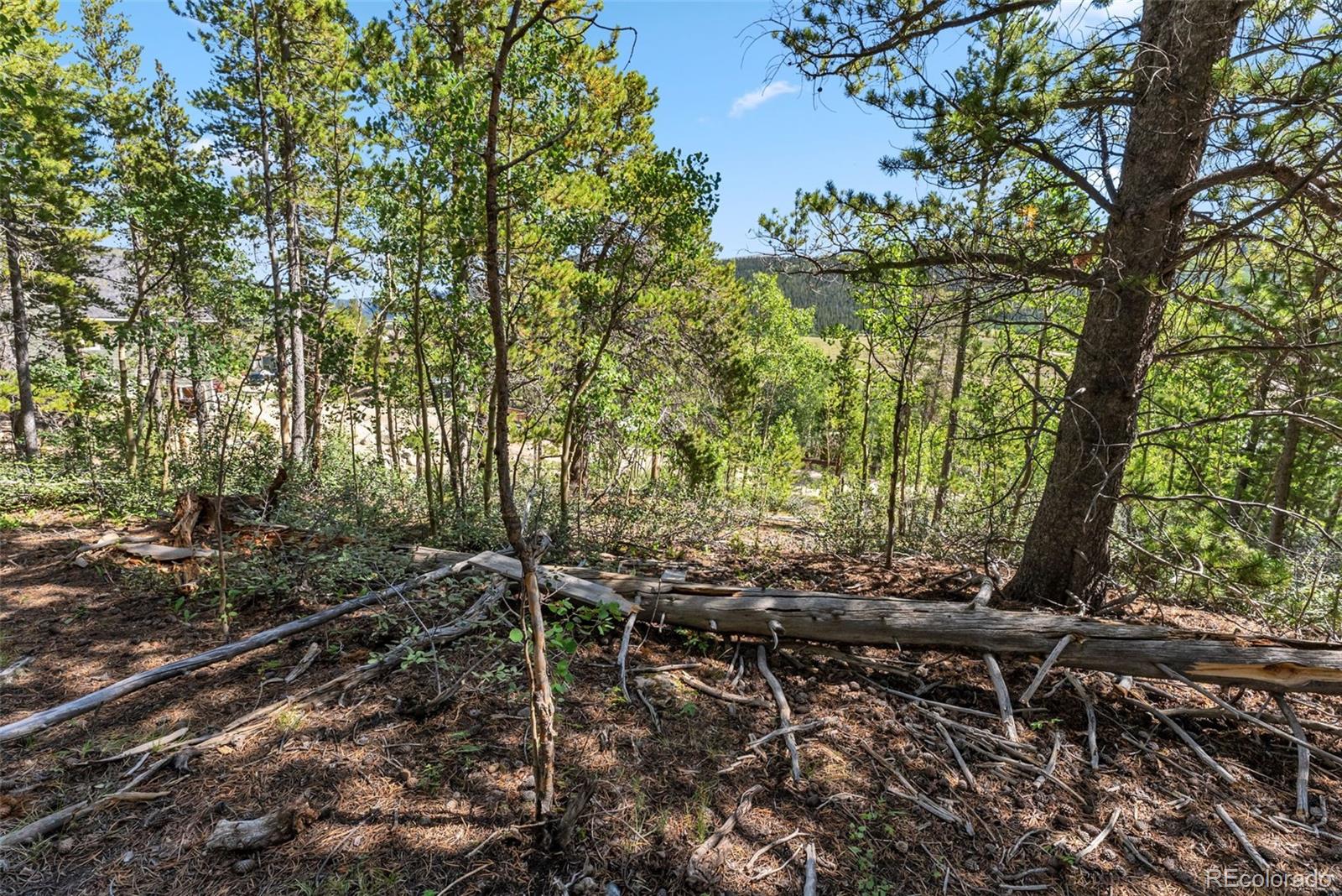 Spruce Street, Alma, CO 80420, ,Land,For Sale,Spruce,REC5710975