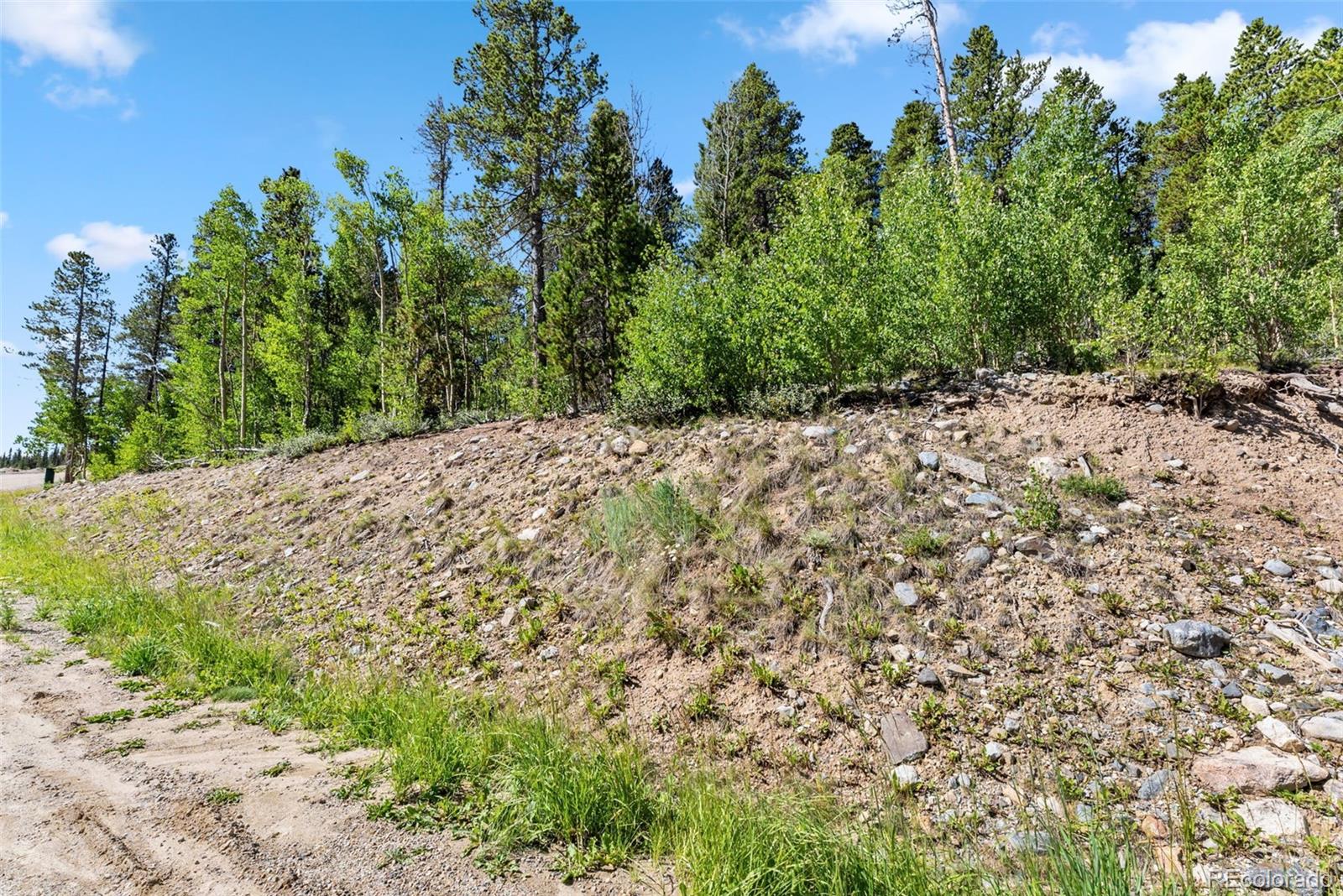 Spruce Street, Alma, CO 80420, ,Land,For Sale,Spruce,REC5710975