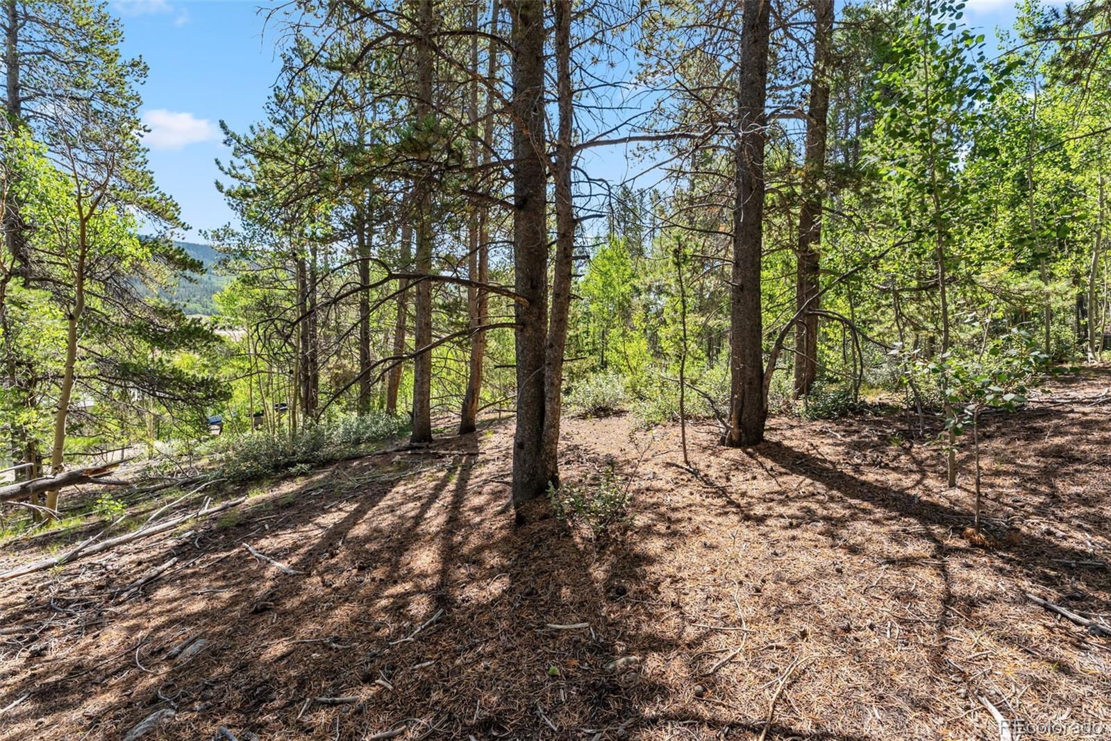 Spruce Street, Alma, CO 80420, ,Land,For Sale,Spruce,REC5710975