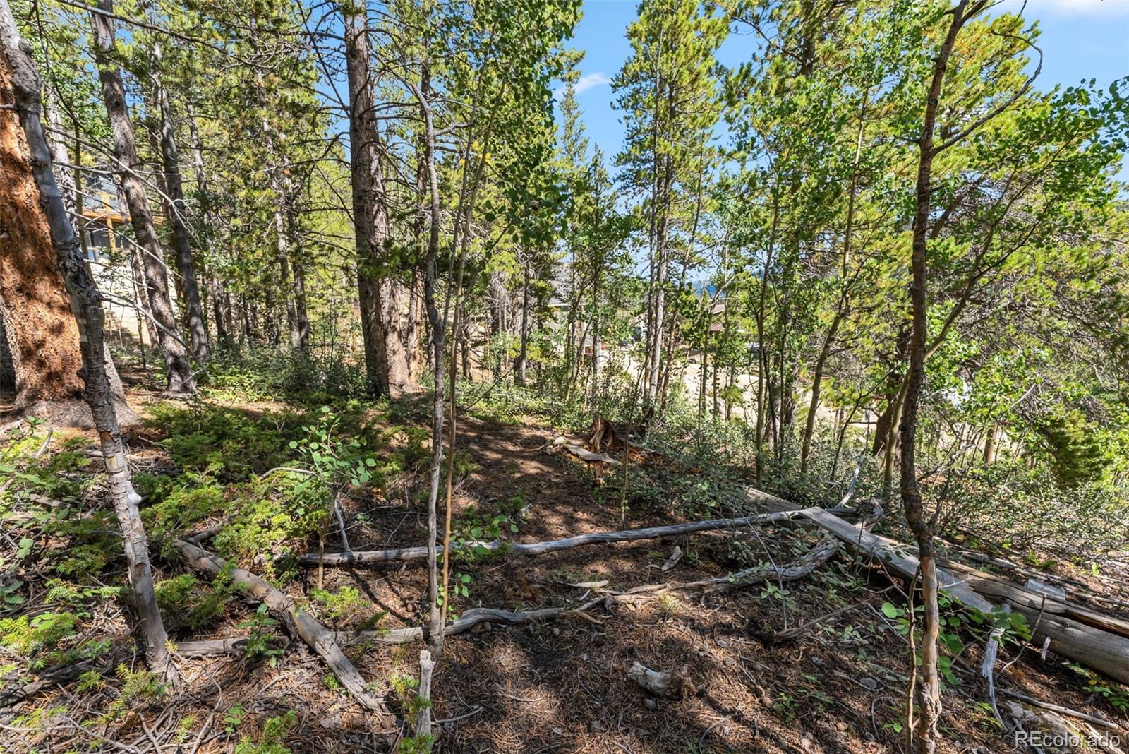 Spruce Street, Alma, CO 80420, ,Land,For Sale,Spruce,REC5710975